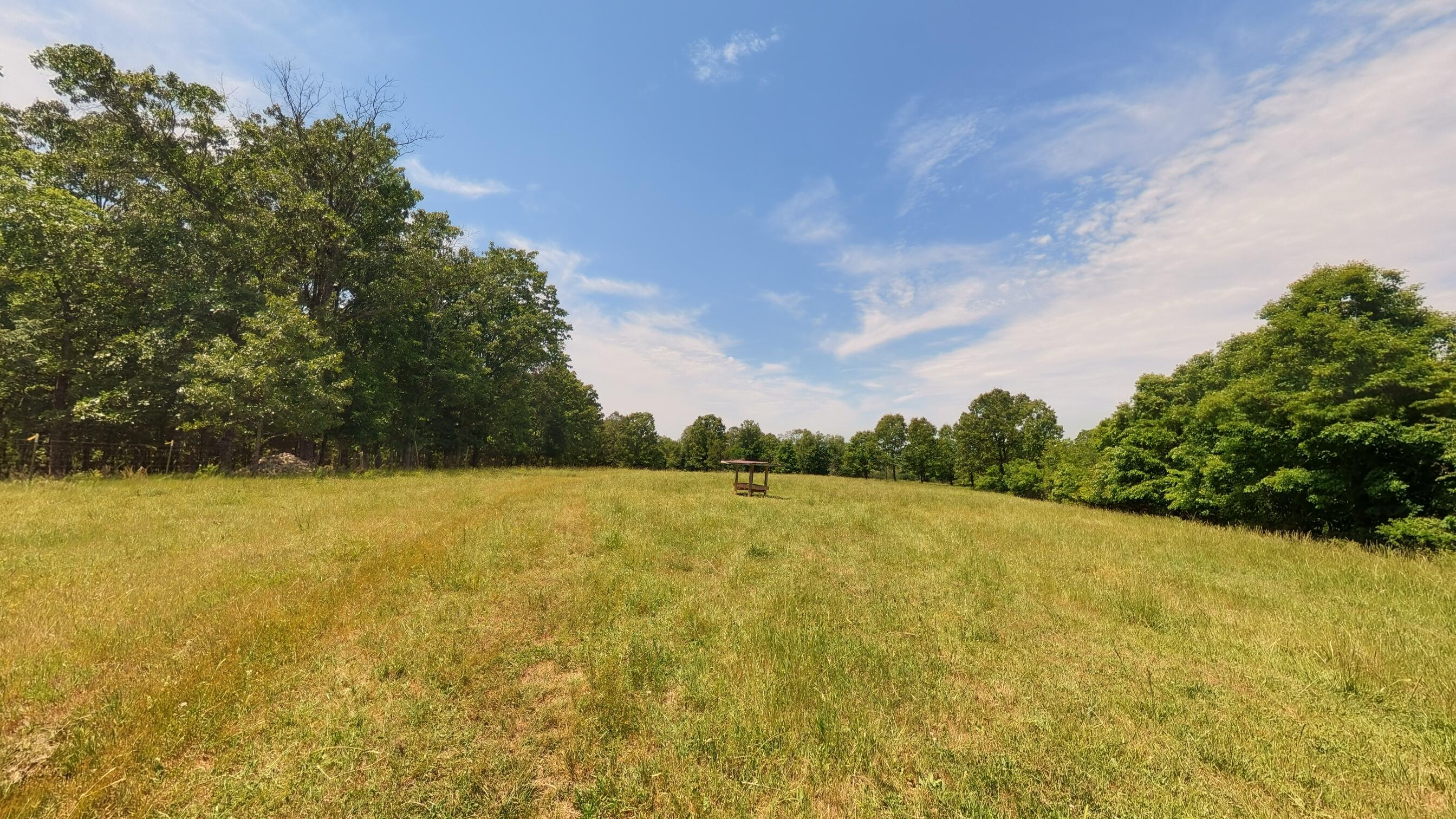 Photo 17 - Land for sale – 000  County Road 113   Alton, MO