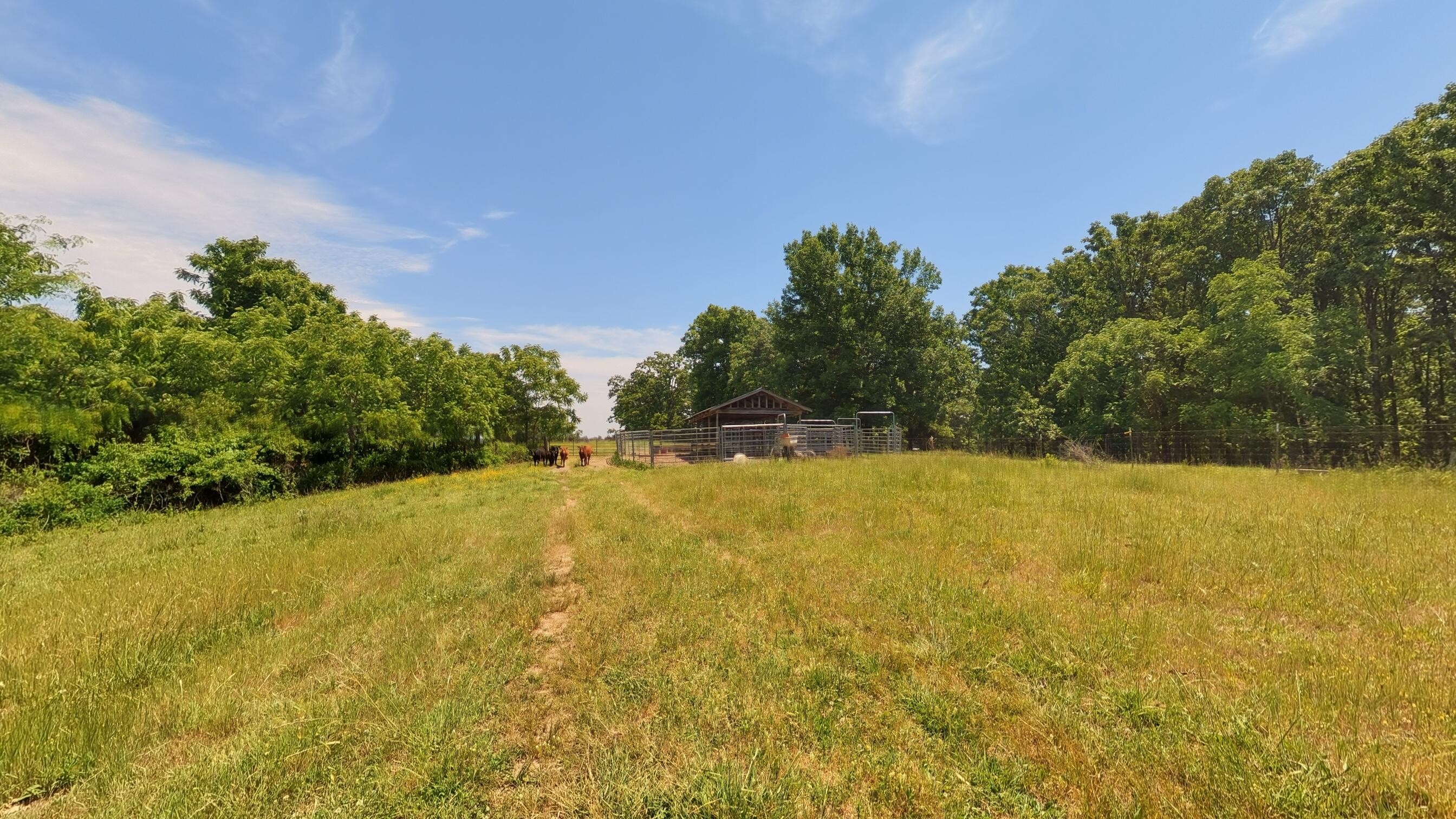 Photo 16 - Land for sale – 000  County Road 113   Alton, MO