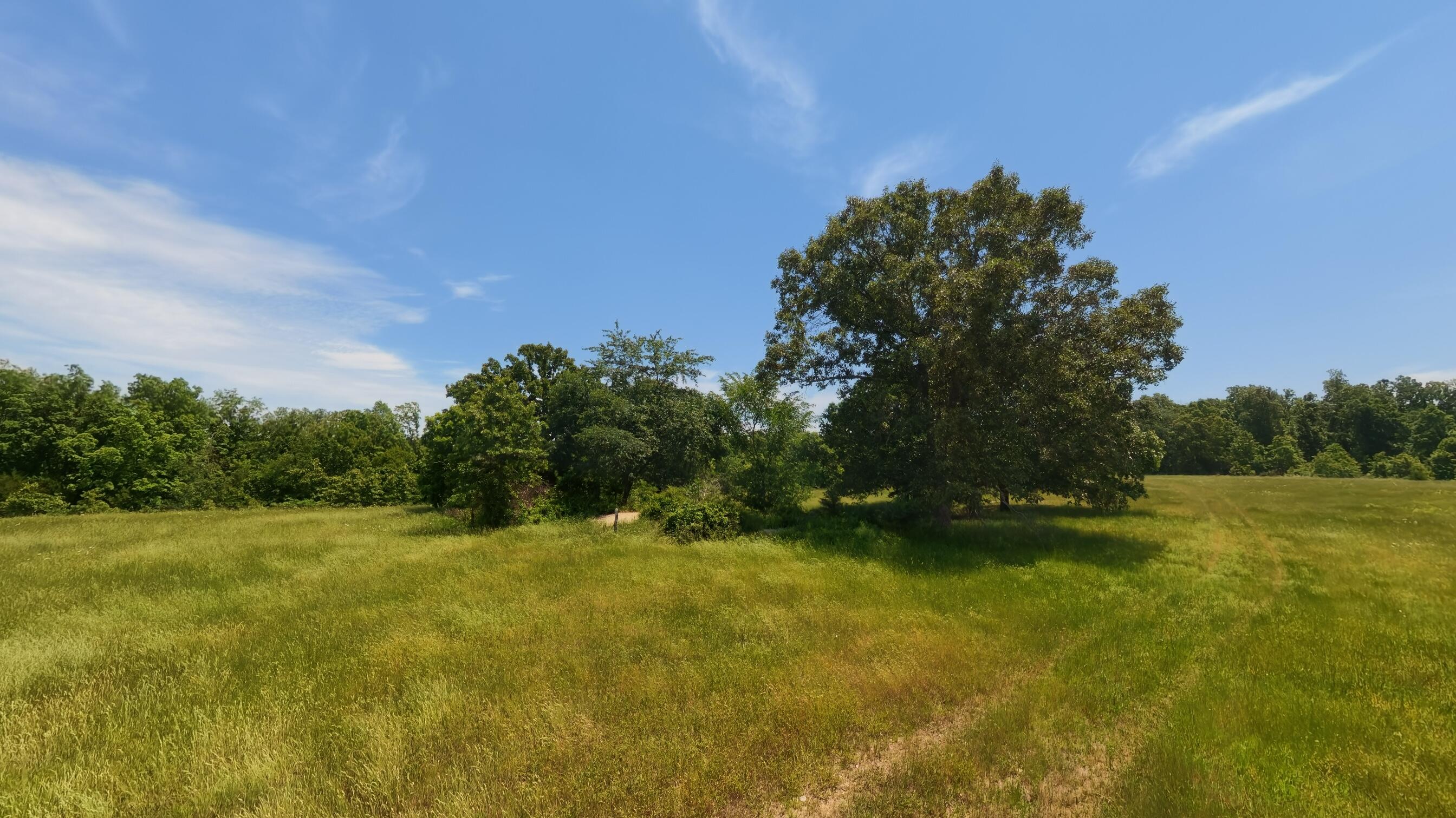 Photo 32 - Land for sale – 000  County Road 113   Alton, MO