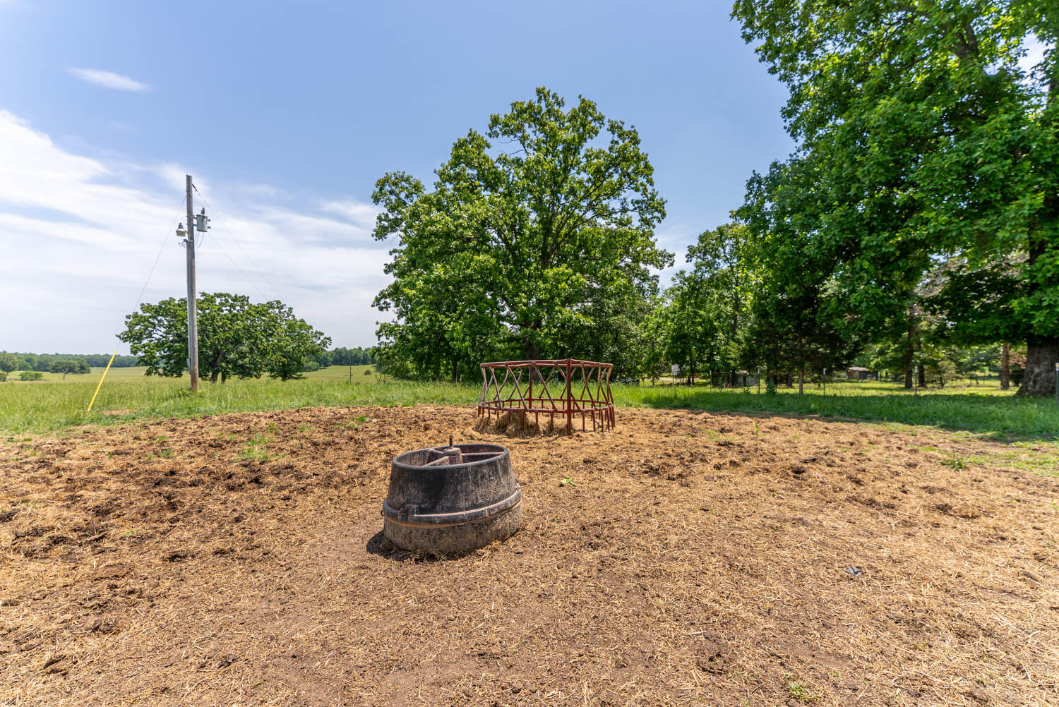 Photo 56 - Land for sale – 000  County Road 113   Alton, MO