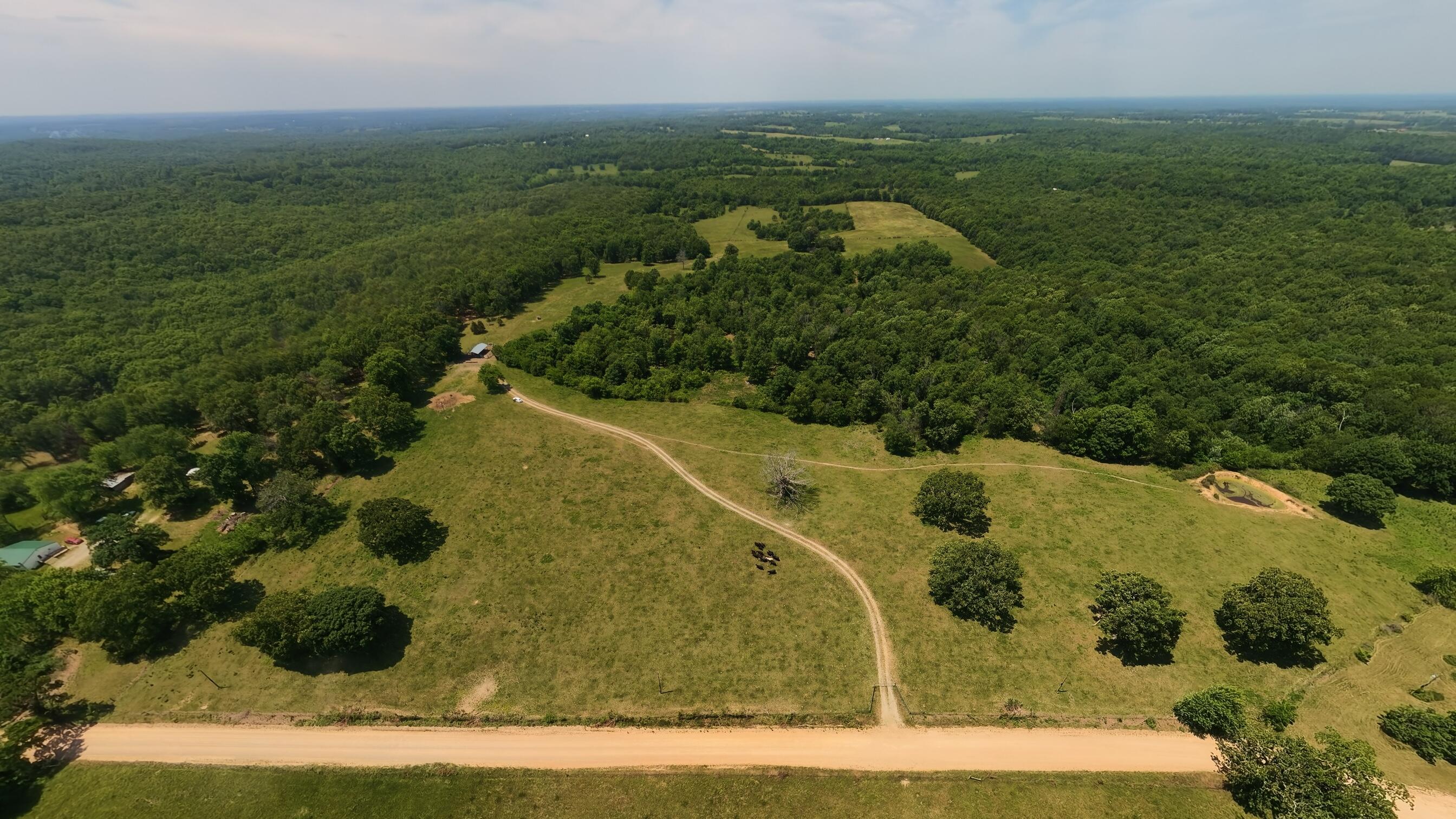 Photo 3 - Land for sale – 000  County Road 113   Alton, MO