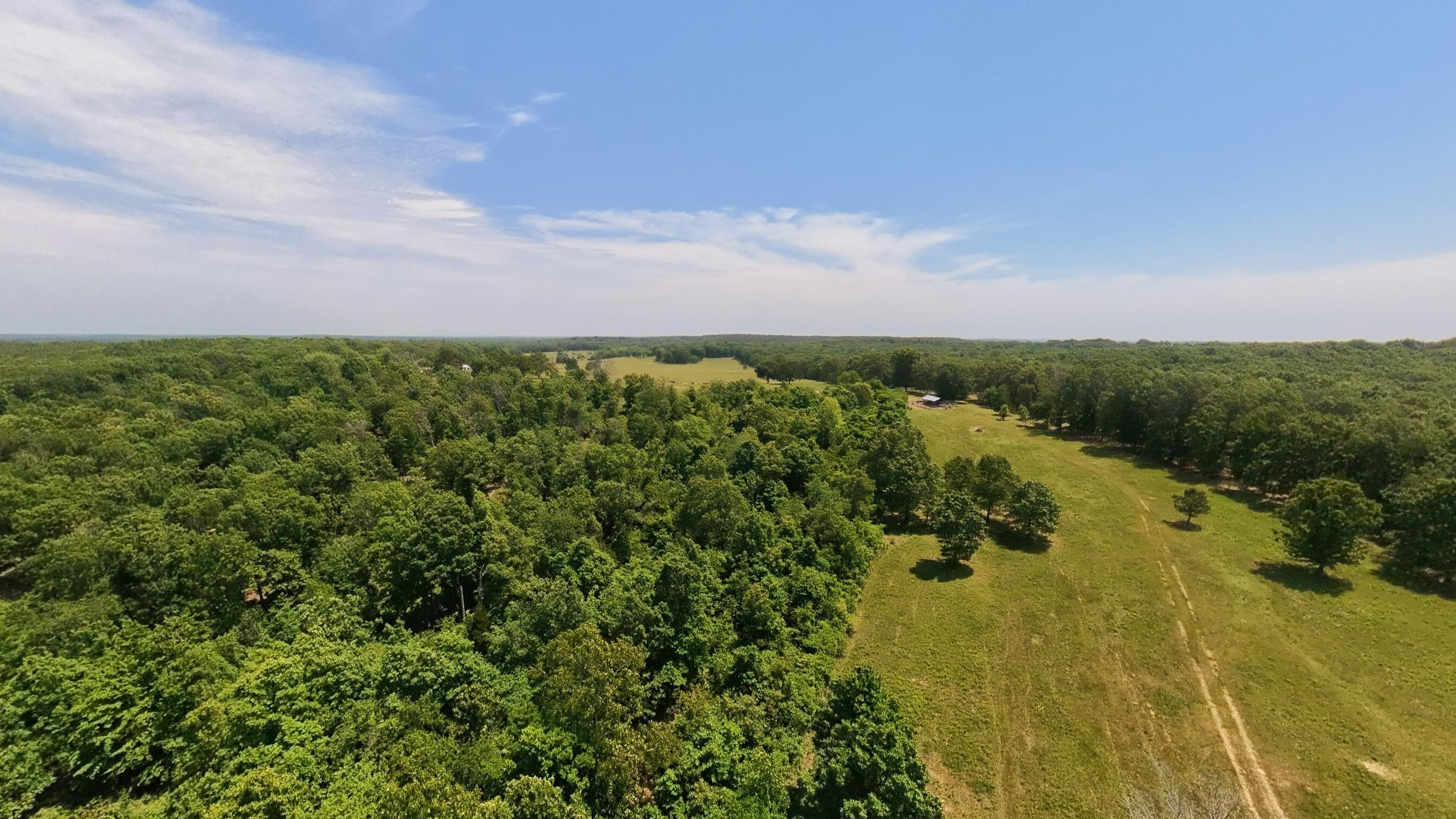 Photo 21 - Land for sale – 000  County Road 113   Alton, MO