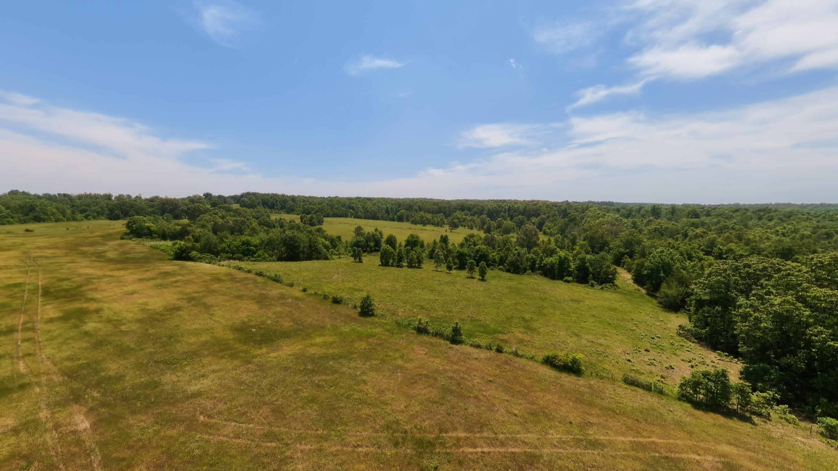Photo 50 - Land for sale – 000  County Road 113   Alton, MO