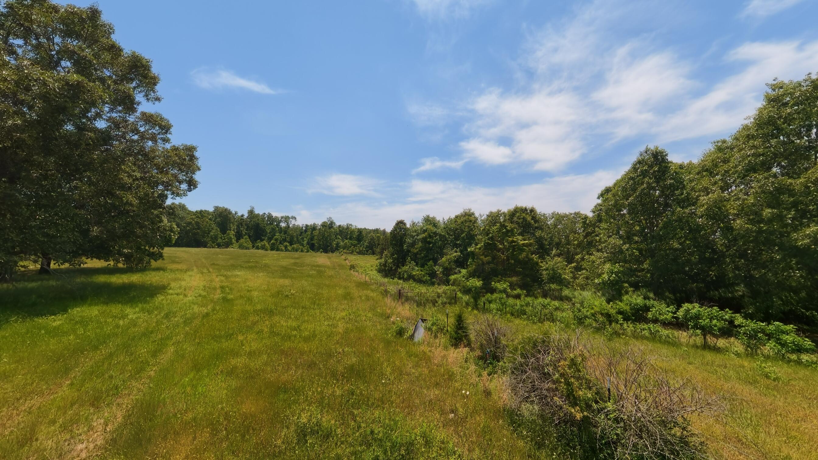 Photo 31 - Land for sale – 000  County Road 113   Alton, MO
