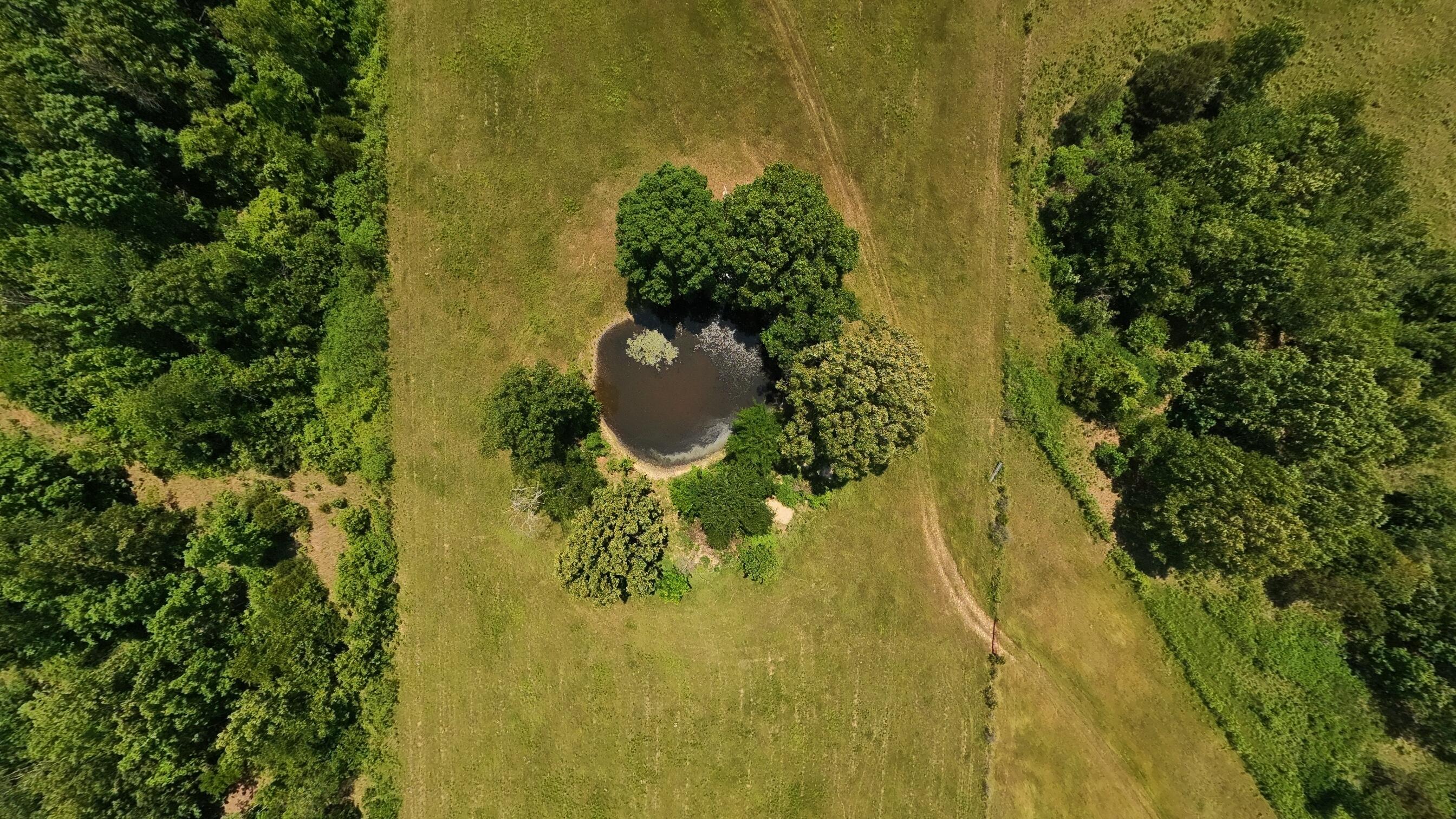 Photo 25 - Land for sale – 000  County Road 113   Alton, MO
