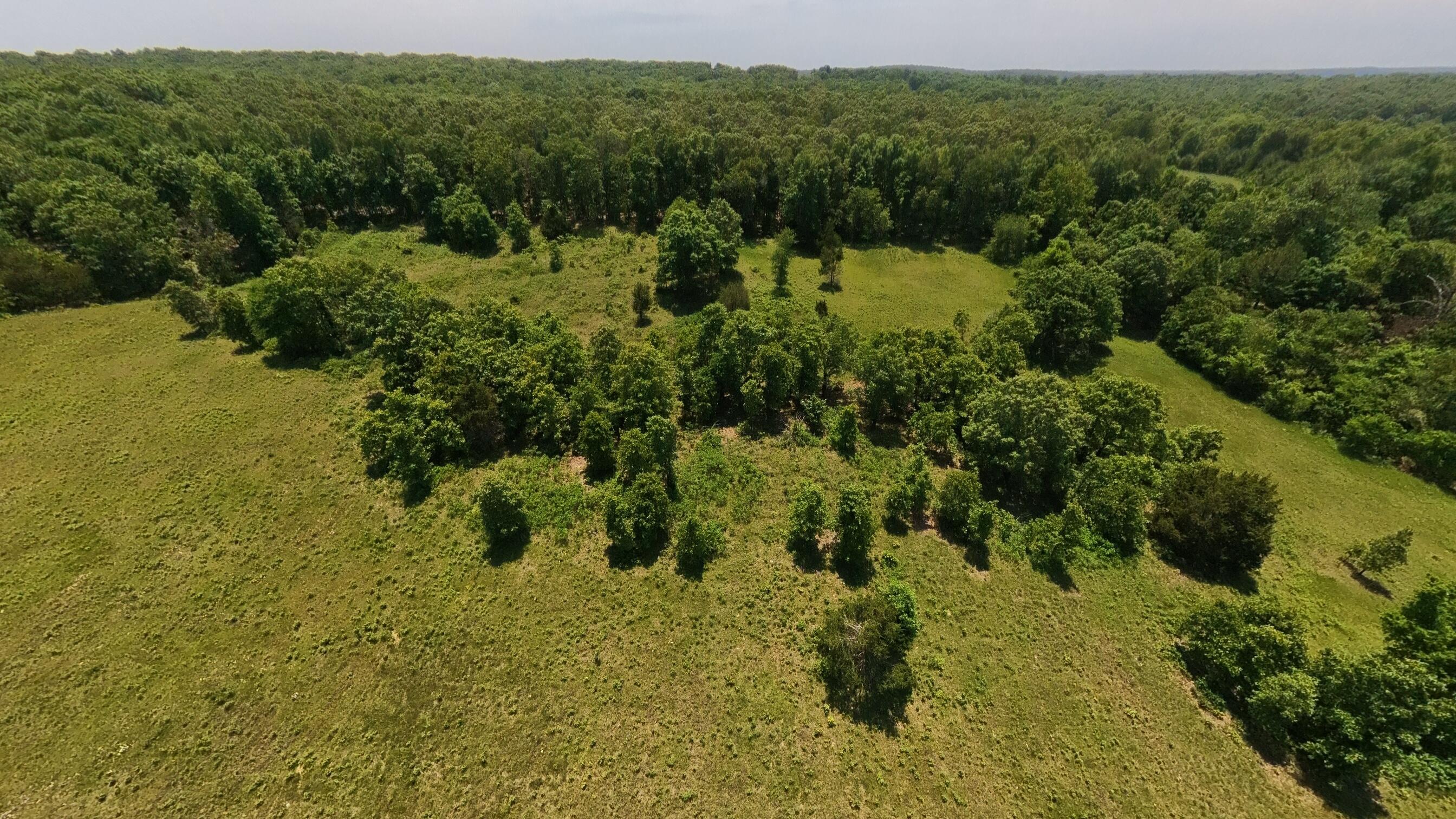 Photo 44 - Land for sale – 000  County Road 113   Alton, MO