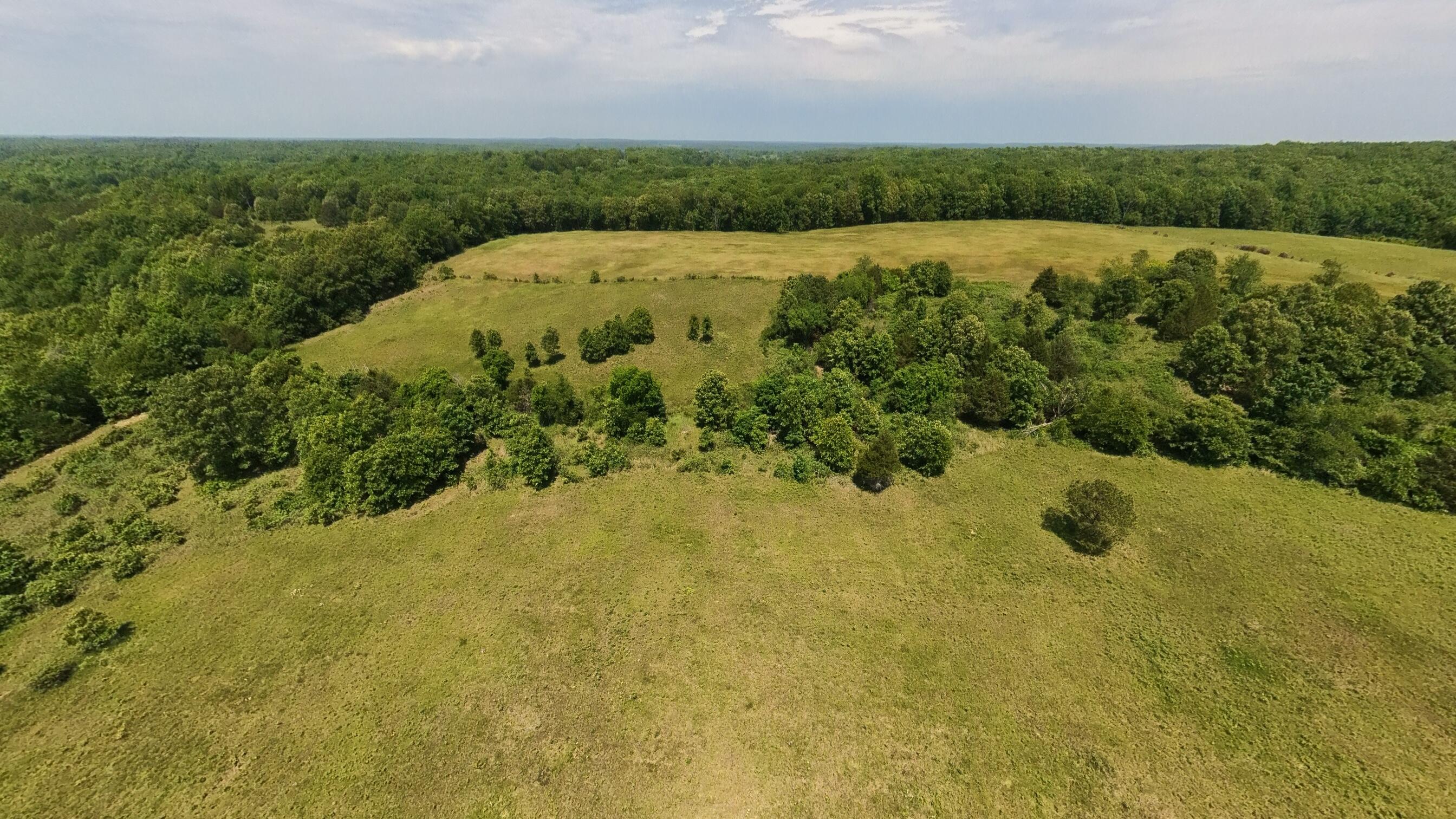 Photo 45 - Land for sale – 000  County Road 113   Alton, MO