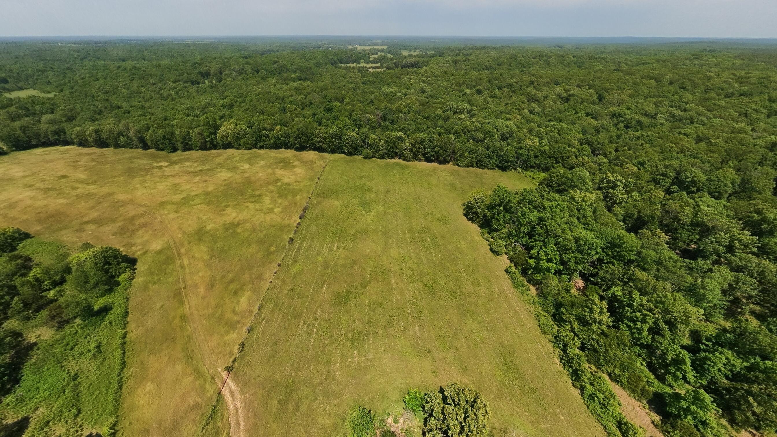 Photo 28 - Land for sale – 000  County Road 113   Alton, MO