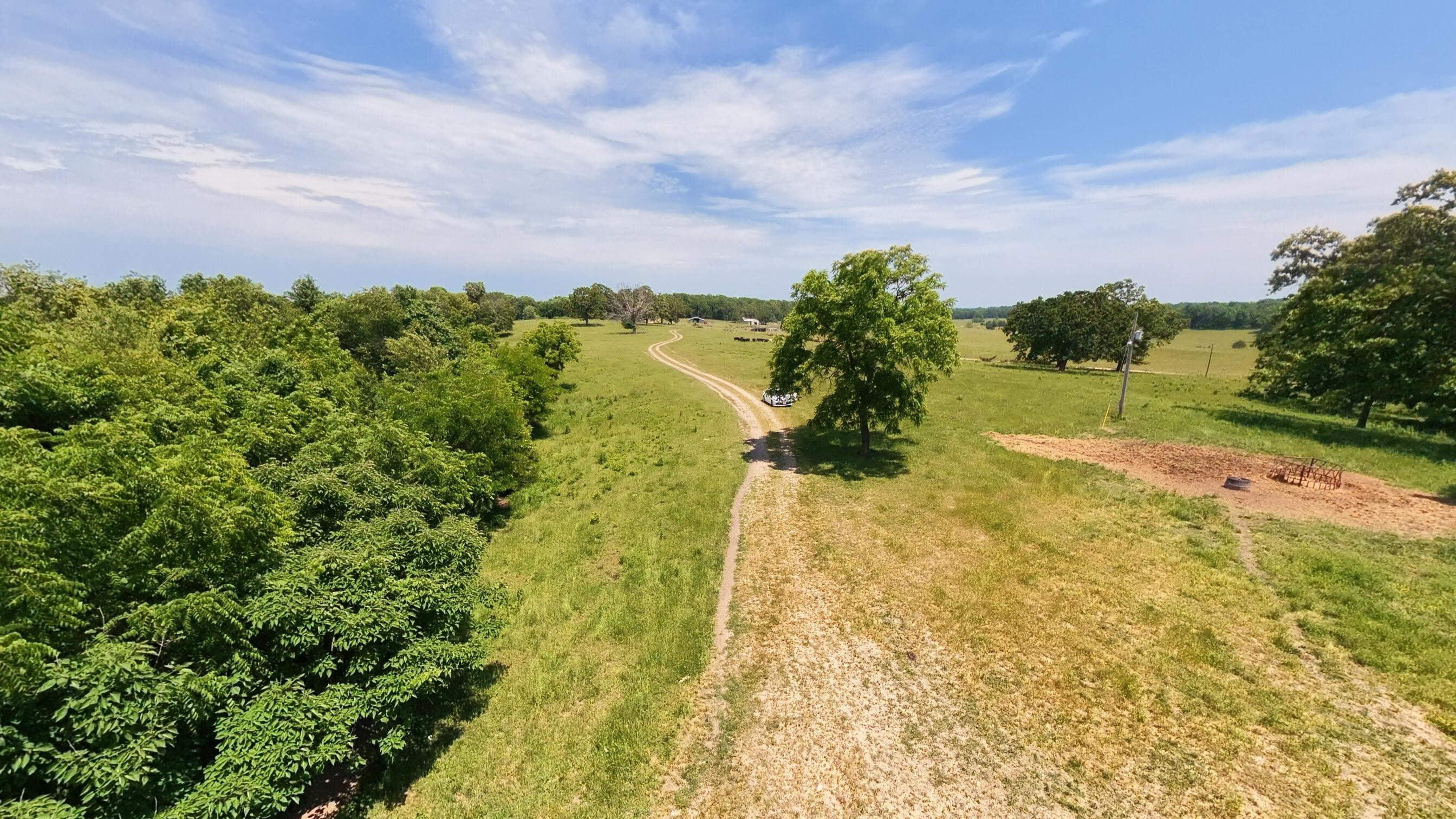 Photo 11 - Land for sale – 000  County Road 113   Alton, MO