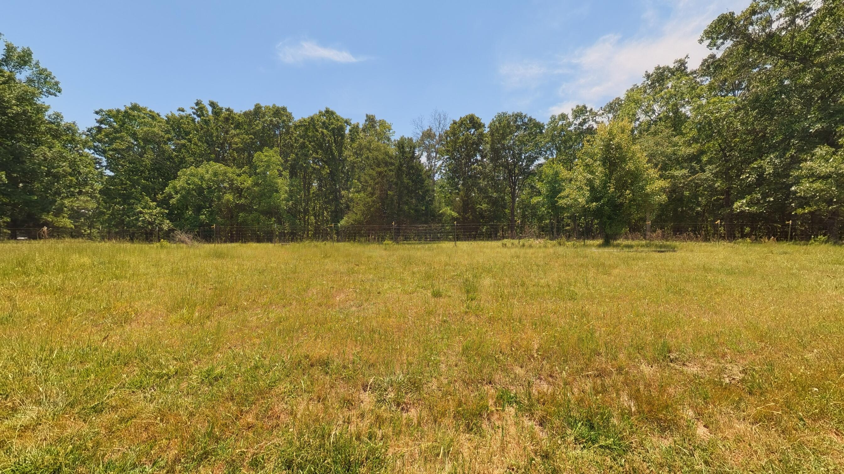 Photo 18 - Land for sale – 000  County Road 113   Alton, MO