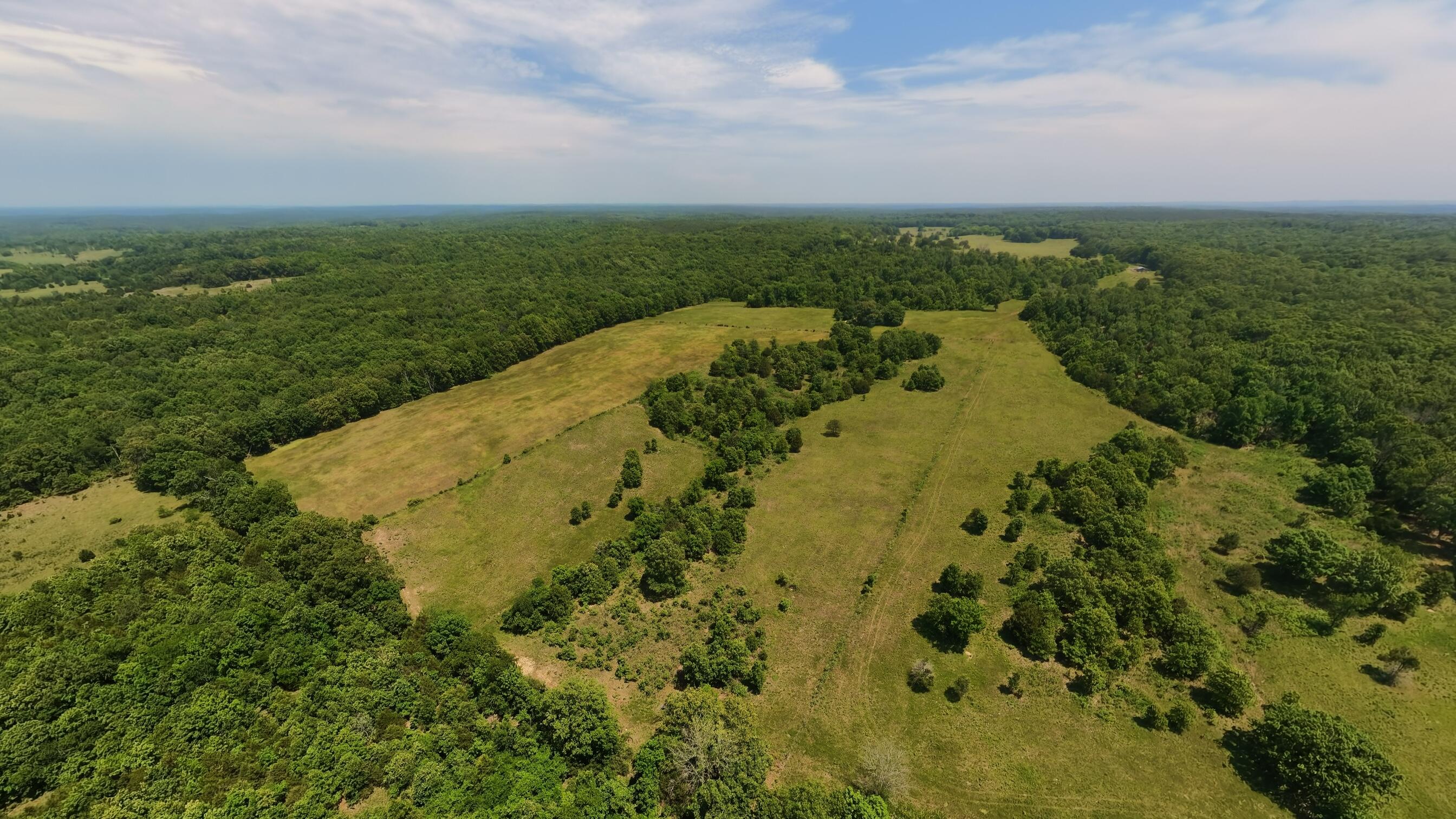 Photo 47 - Land for sale – 000  County Road 113   Alton, MO