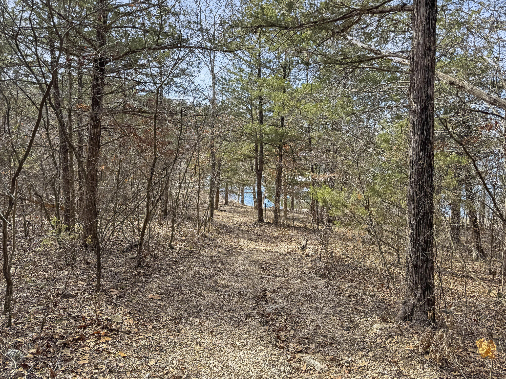 Photo 47 - Residential for sale – 110  Kimberling Shores Lane  Kimberling City, MO