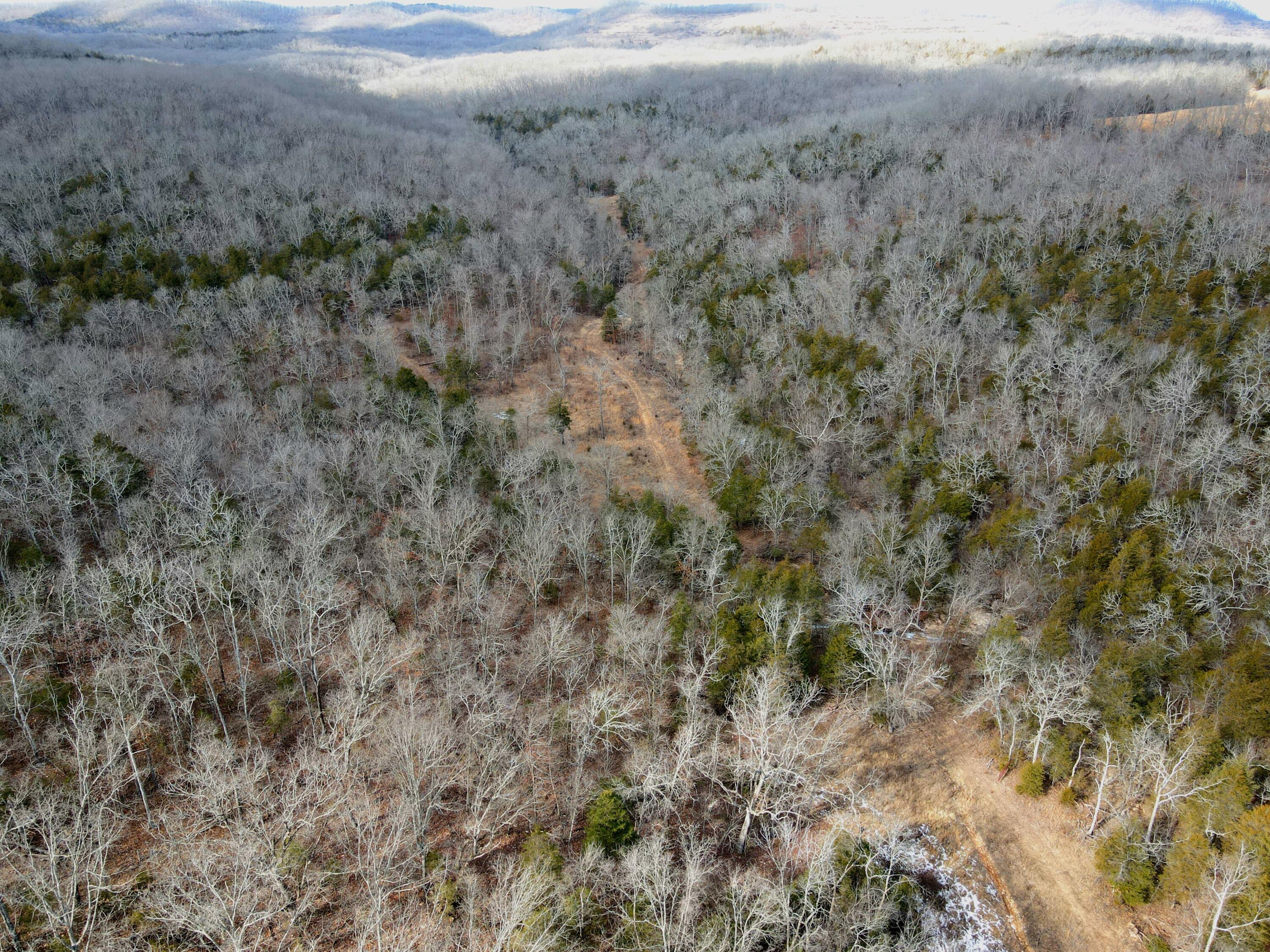 Photo 39 - Land for sale – 000  Hickory Flats Road  Ava, MO