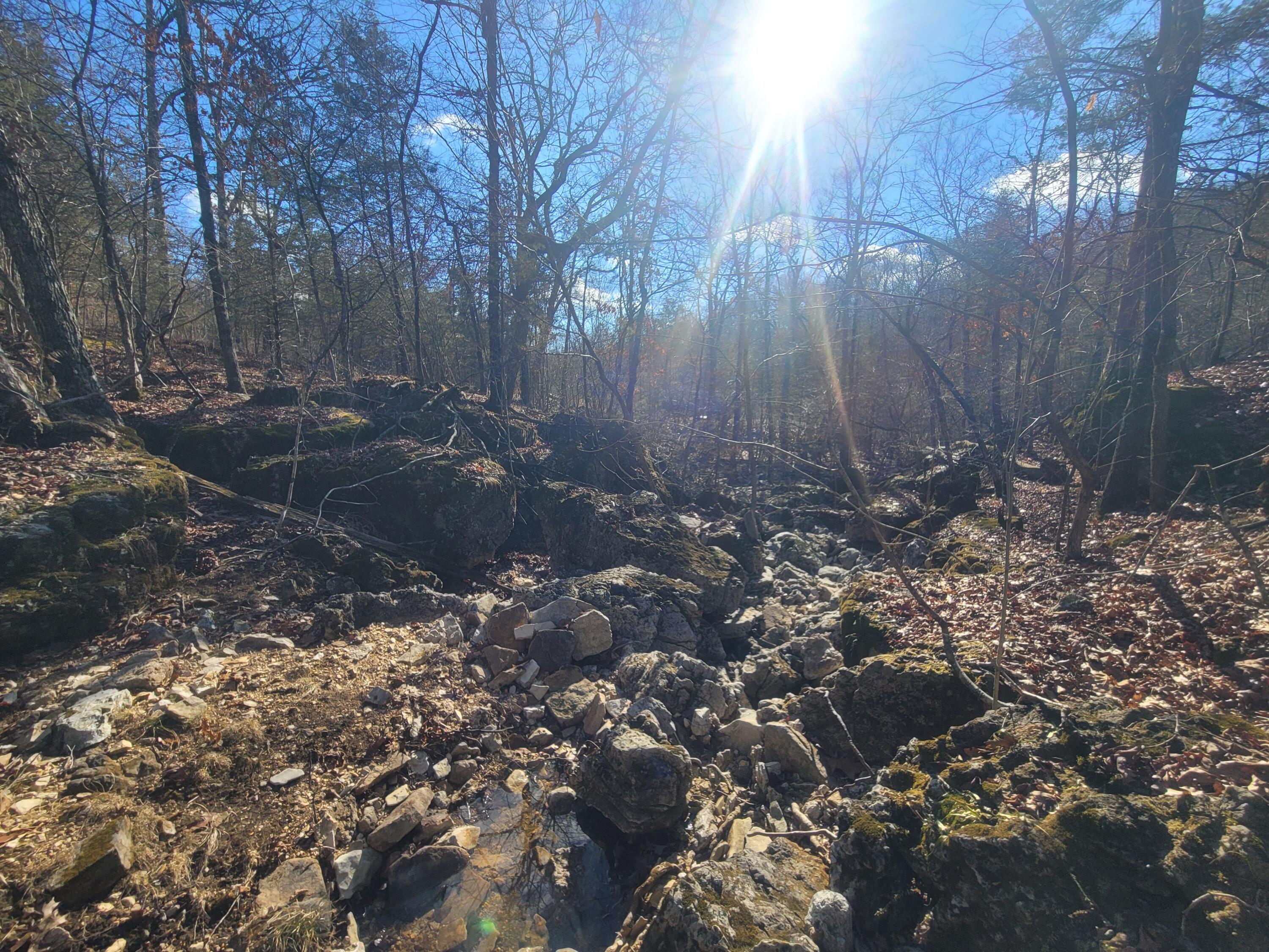 Photo 13 - Land for sale – 000  Hickory Flats Road  Ava, MO