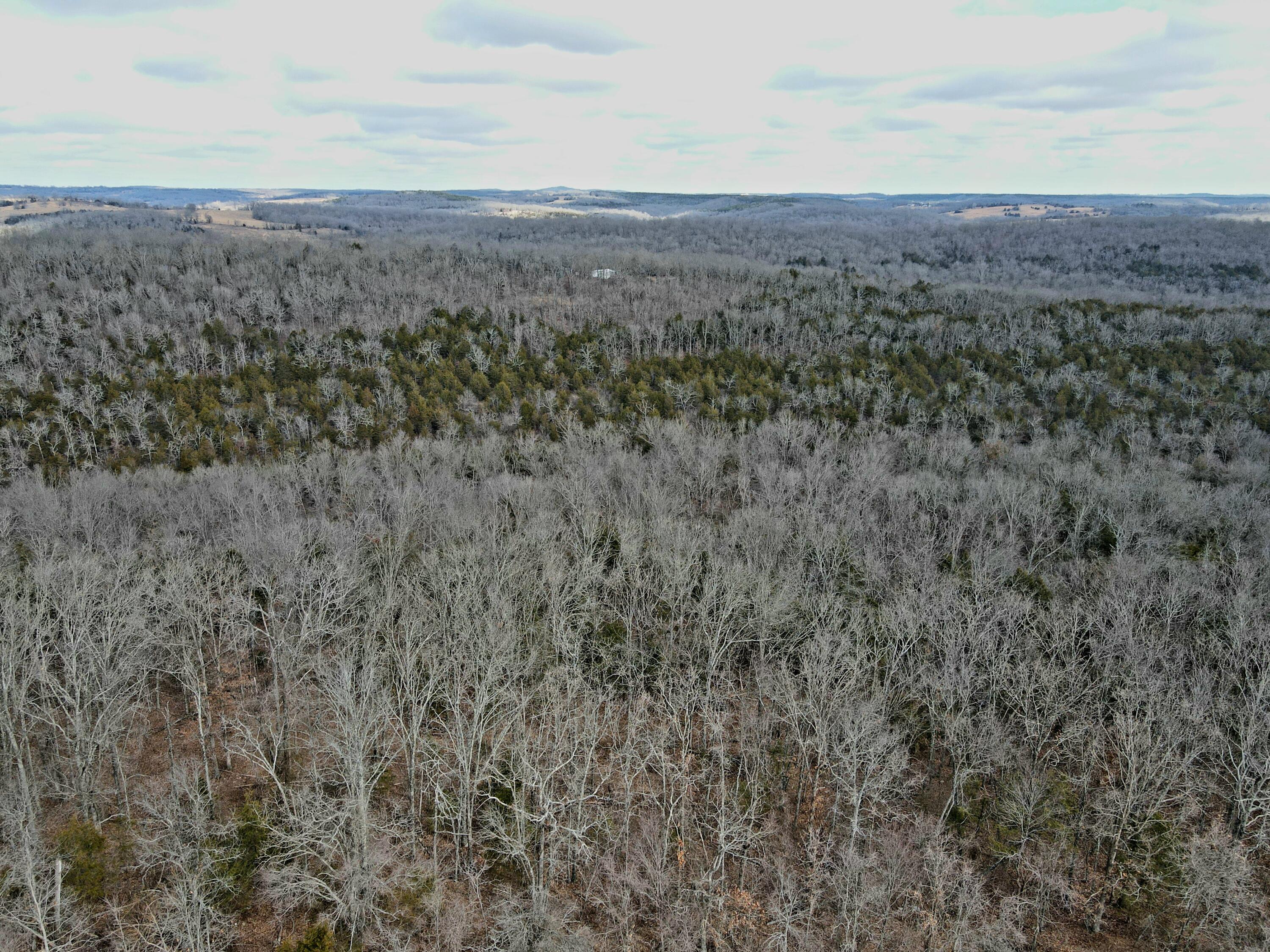 Photo 36 - Land for sale – 000  Hickory Flats Road  Ava, MO
