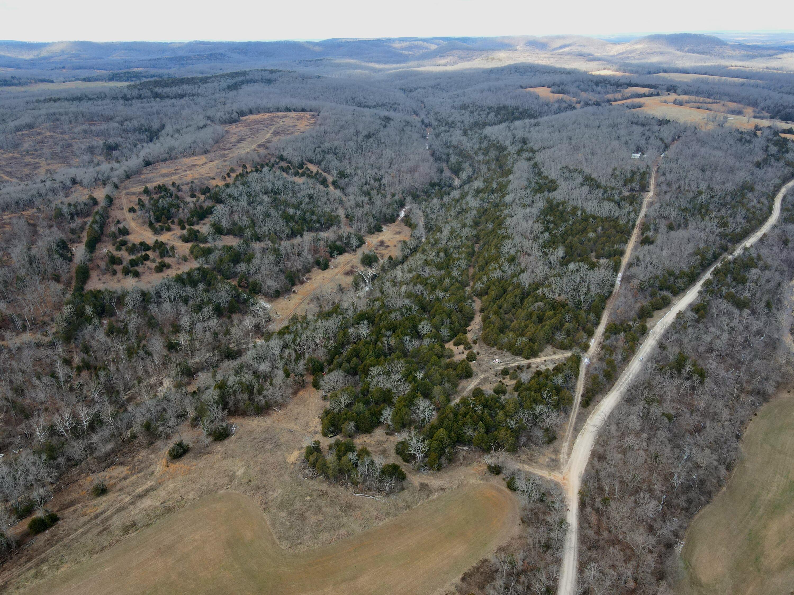 Photo 32 - Land for sale – 000  Hickory Flats Road  Ava, MO