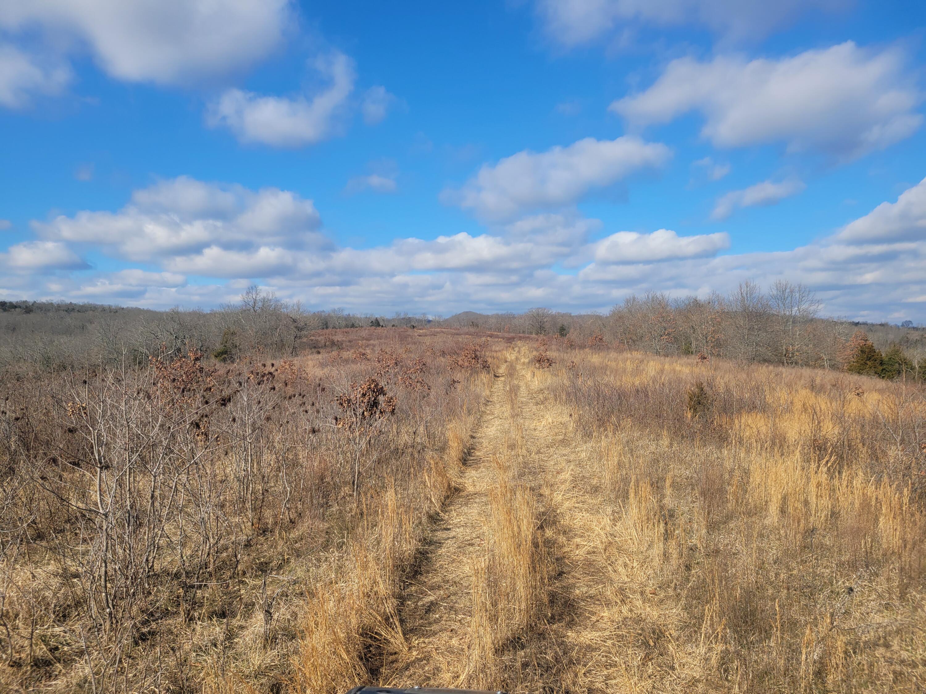 Photo 16 - Land for sale – 000  Hickory Flats Road  Ava, MO