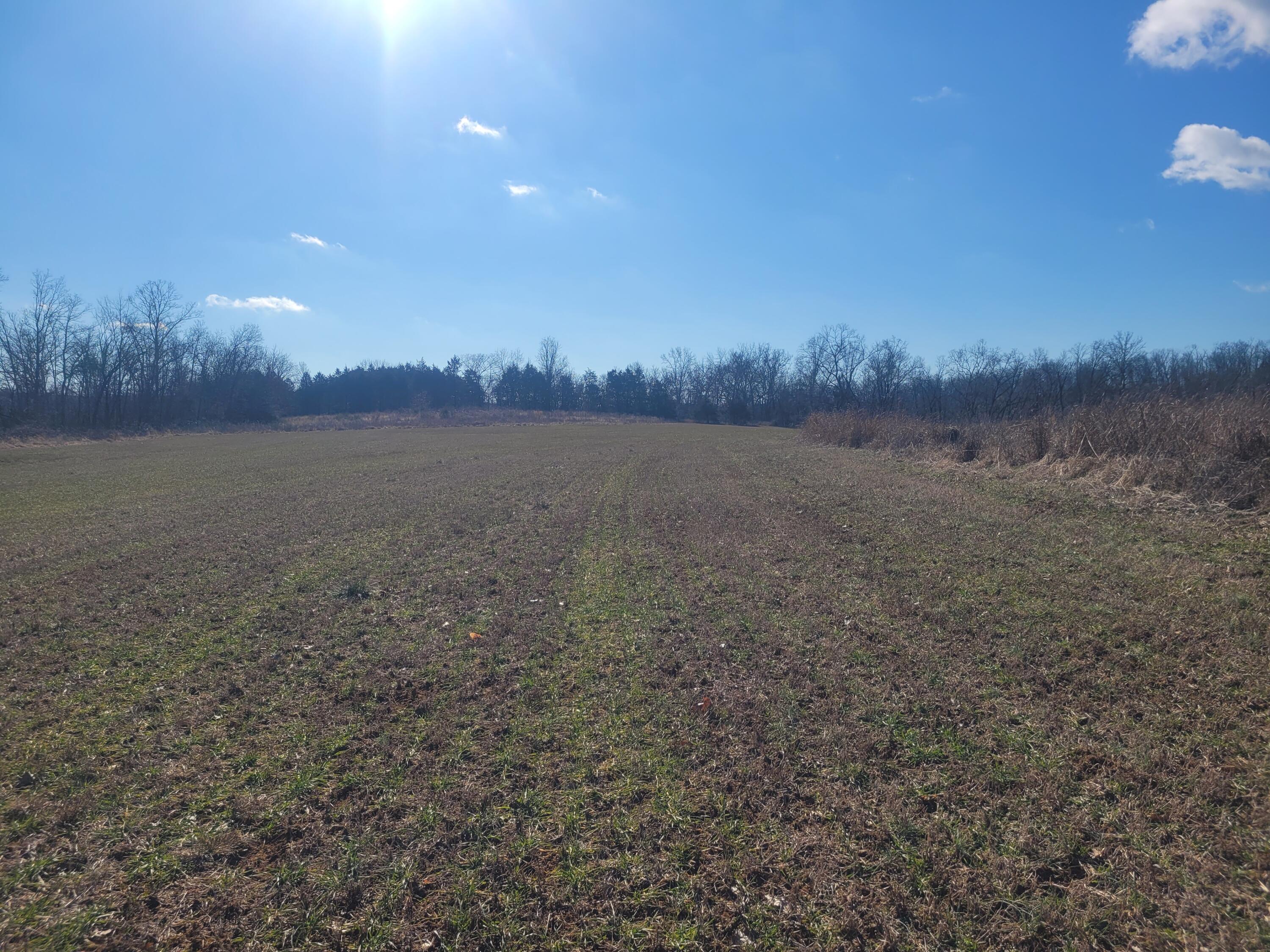 Photo 5 - Land for sale – 000  Hickory Flats Road  Ava, MO