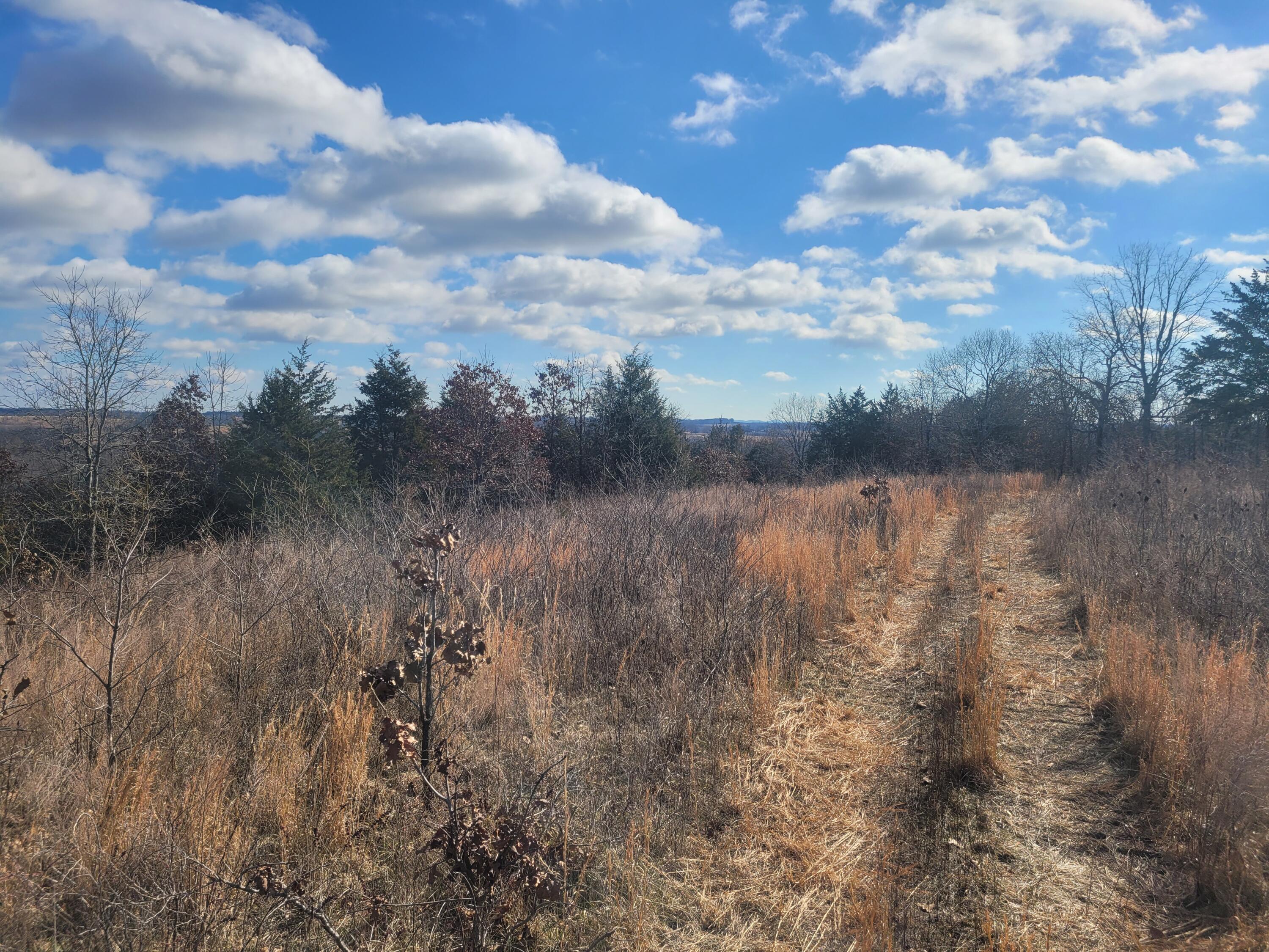 Photo 18 - Land for sale – 000  Hickory Flats Road  Ava, MO