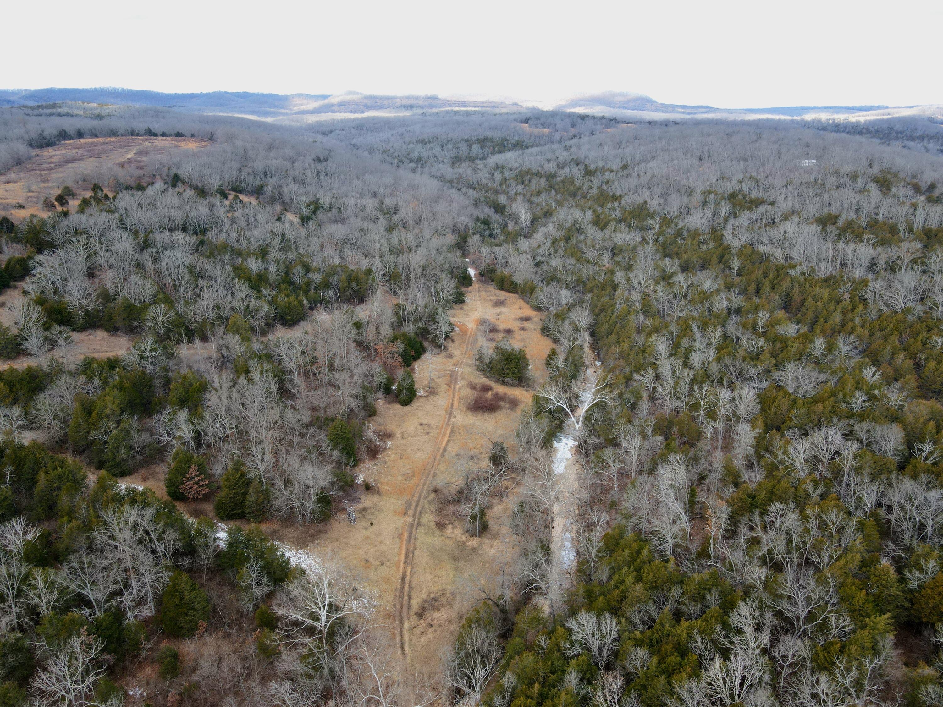 Photo 33 - Land for sale – 000  Hickory Flats Road  Ava, MO