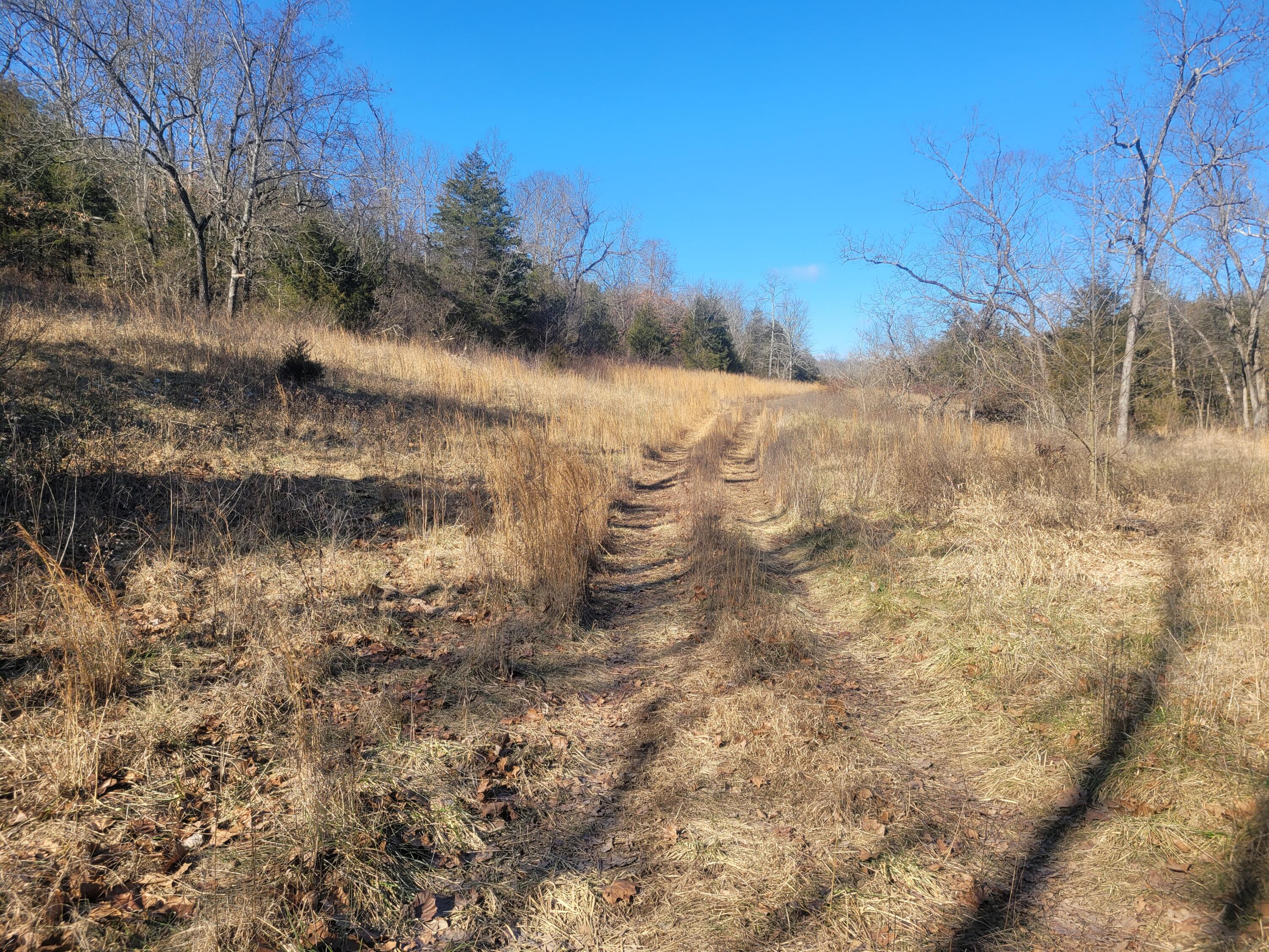 Photo 8 - Land for sale – 000  Hickory Flats Road  Ava, MO