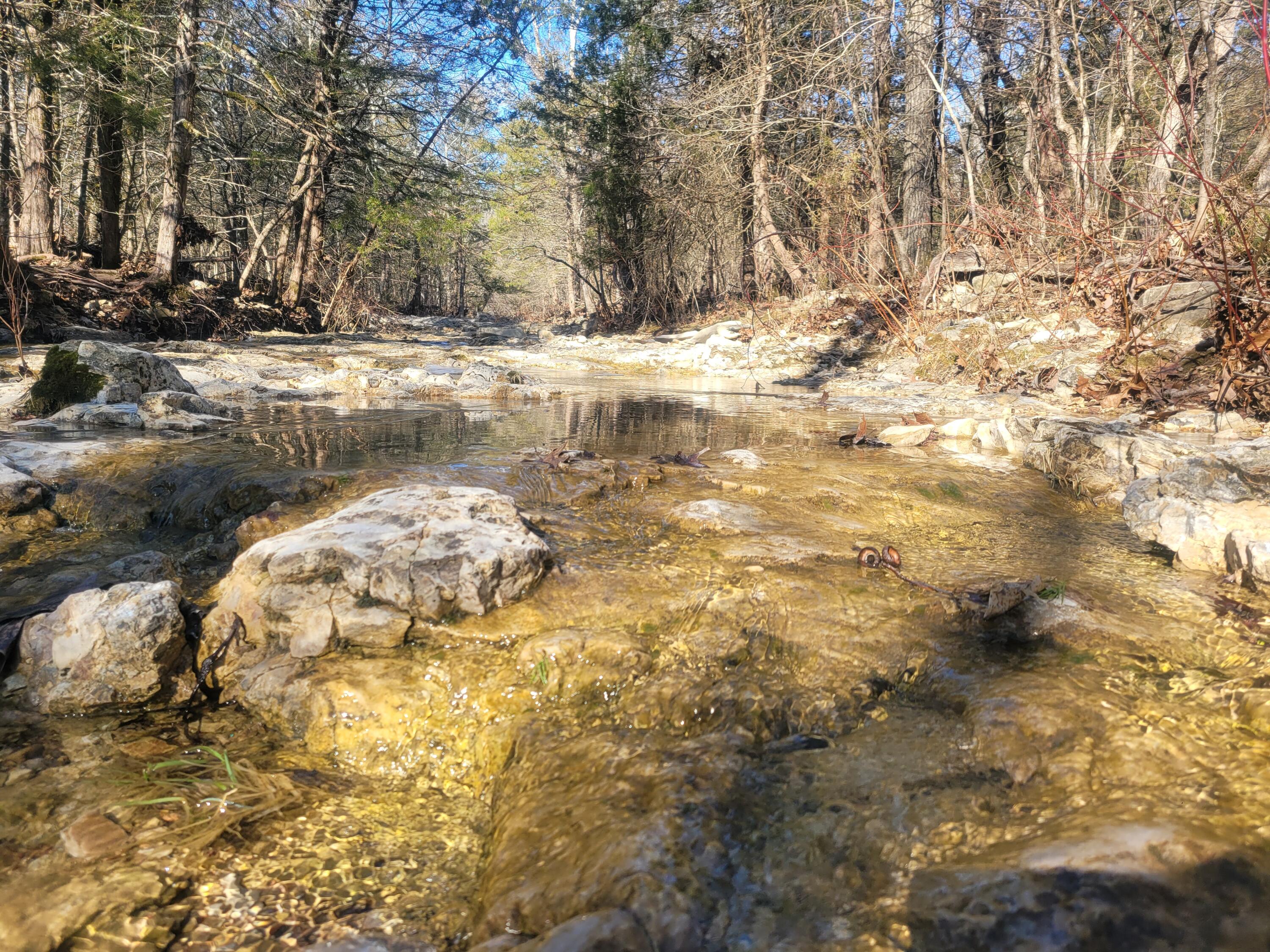 Photo 10 - Land for sale – 000  Hickory Flats Road  Ava, MO