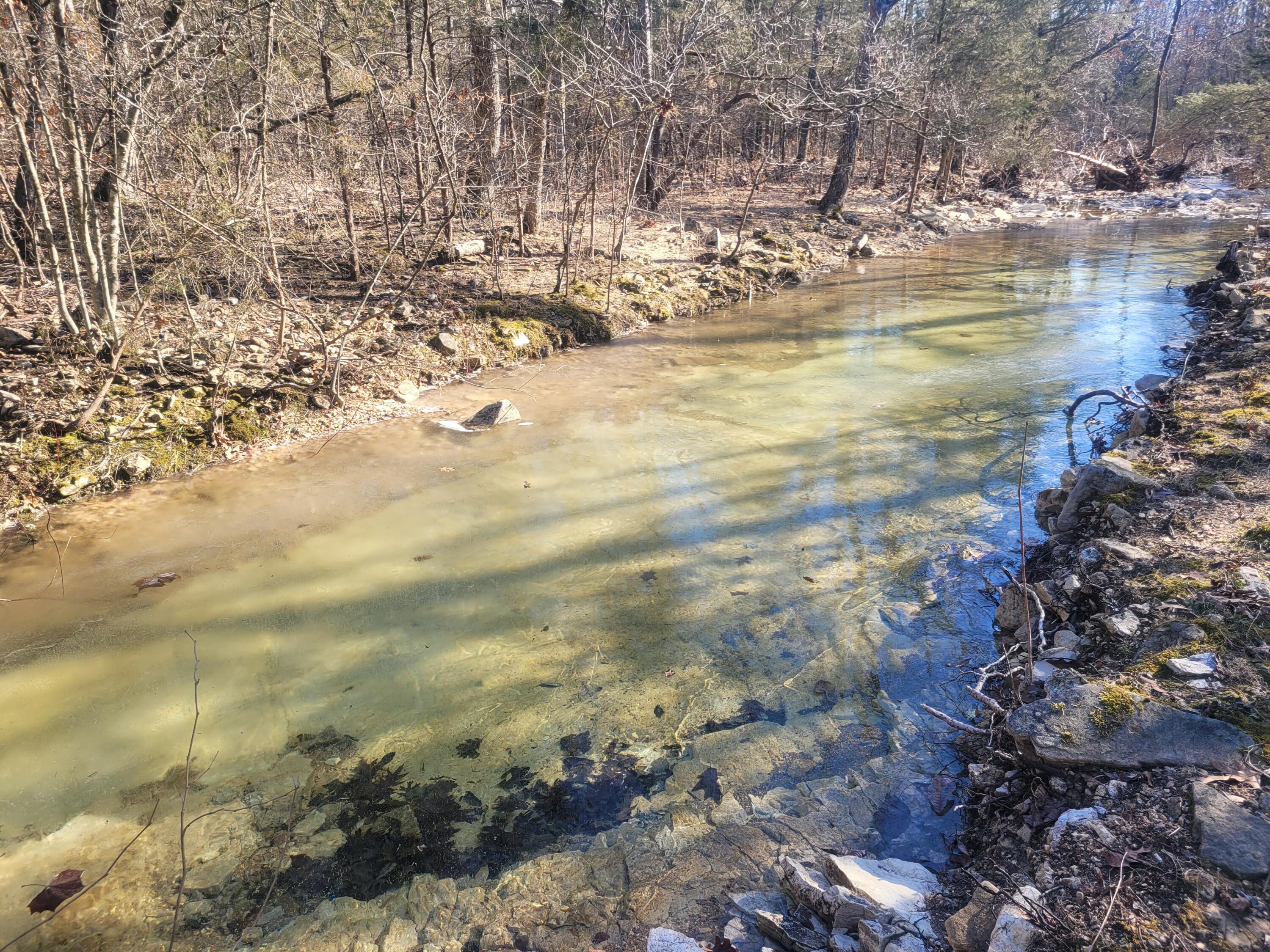 Photo 12 - Land for sale – 000  Hickory Flats Road  Ava, MO