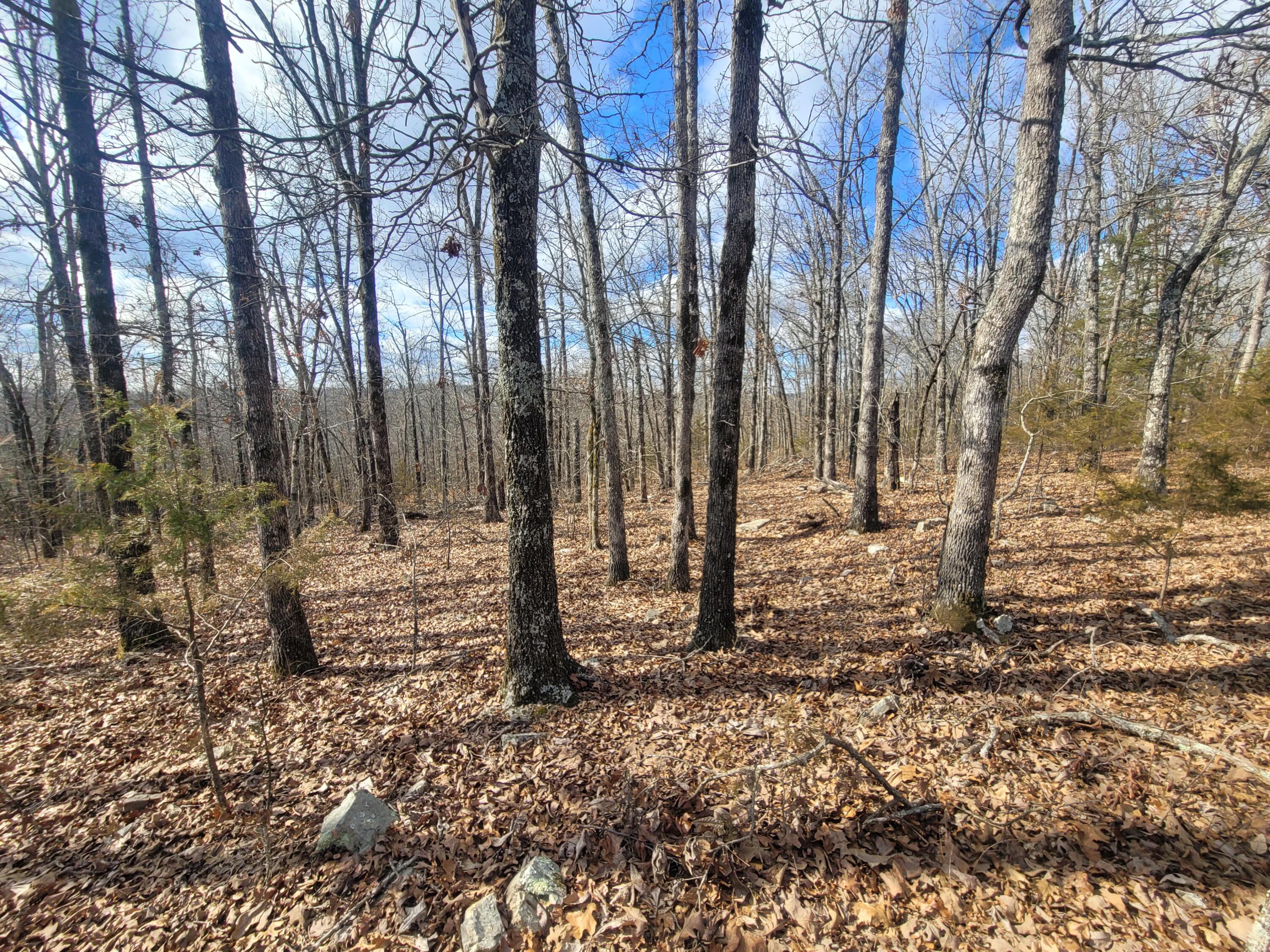 Photo 24 - Land for sale – 000  Hickory Flats Road  Ava, MO