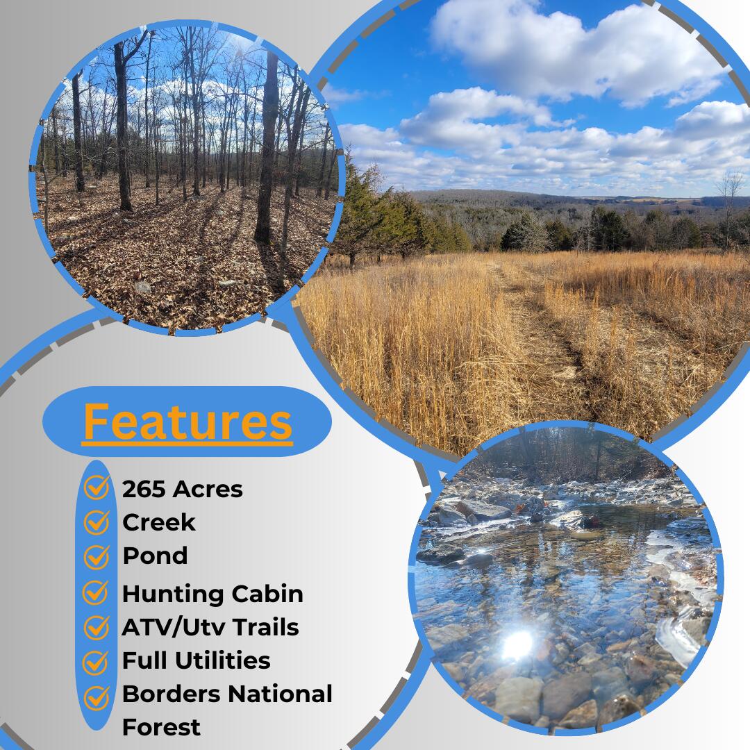 Land for sale – 000  Hickory Flats Road  Ava, MO