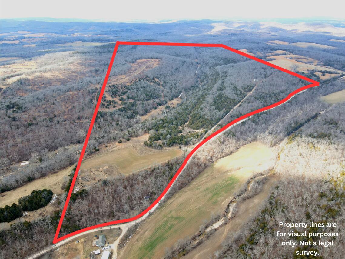 Photo 45 - Land for sale – 000  Hickory Flats Road  Ava, MO