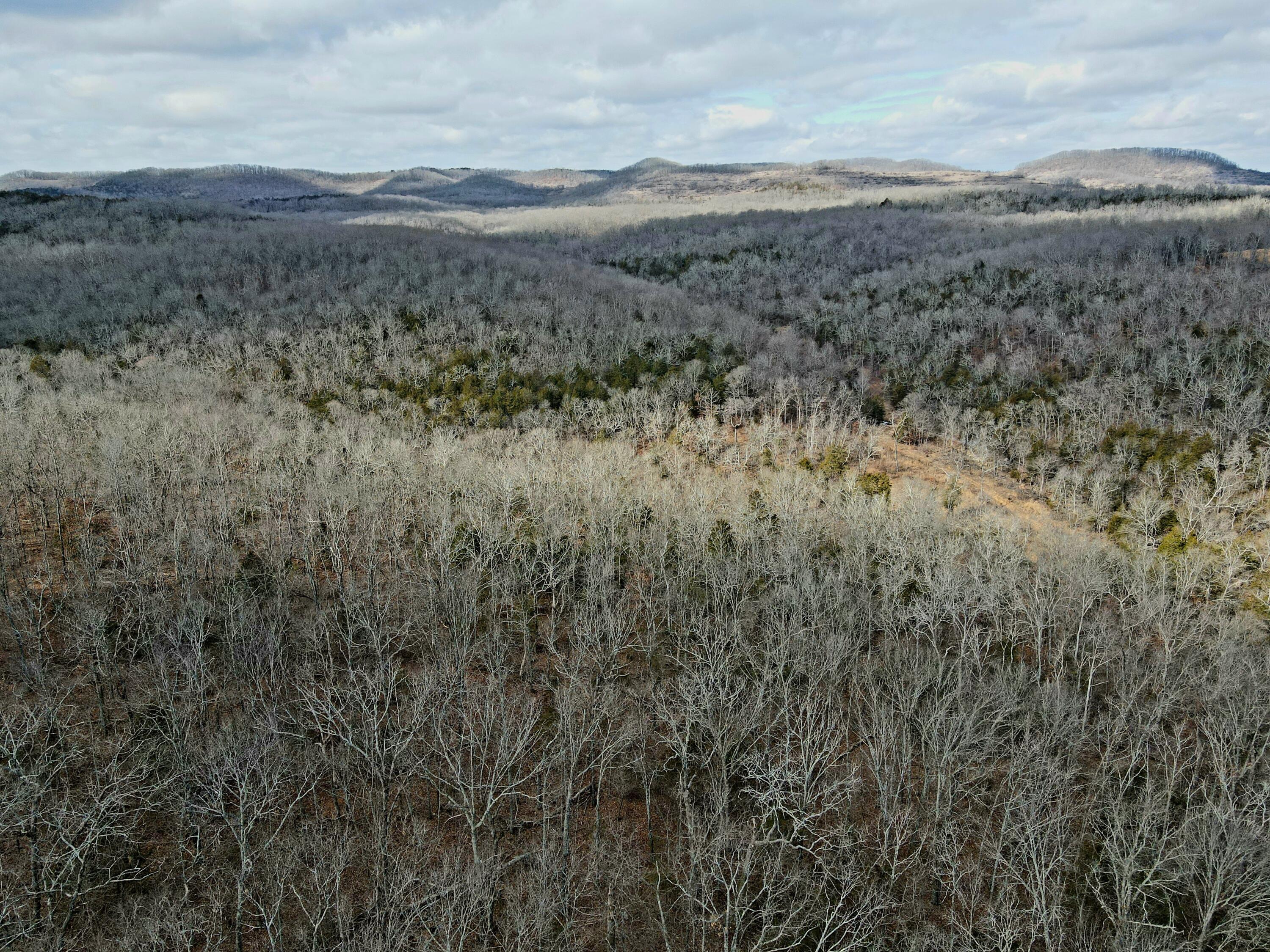 Photo 38 - Land for sale – 000  Hickory Flats Road  Ava, MO
