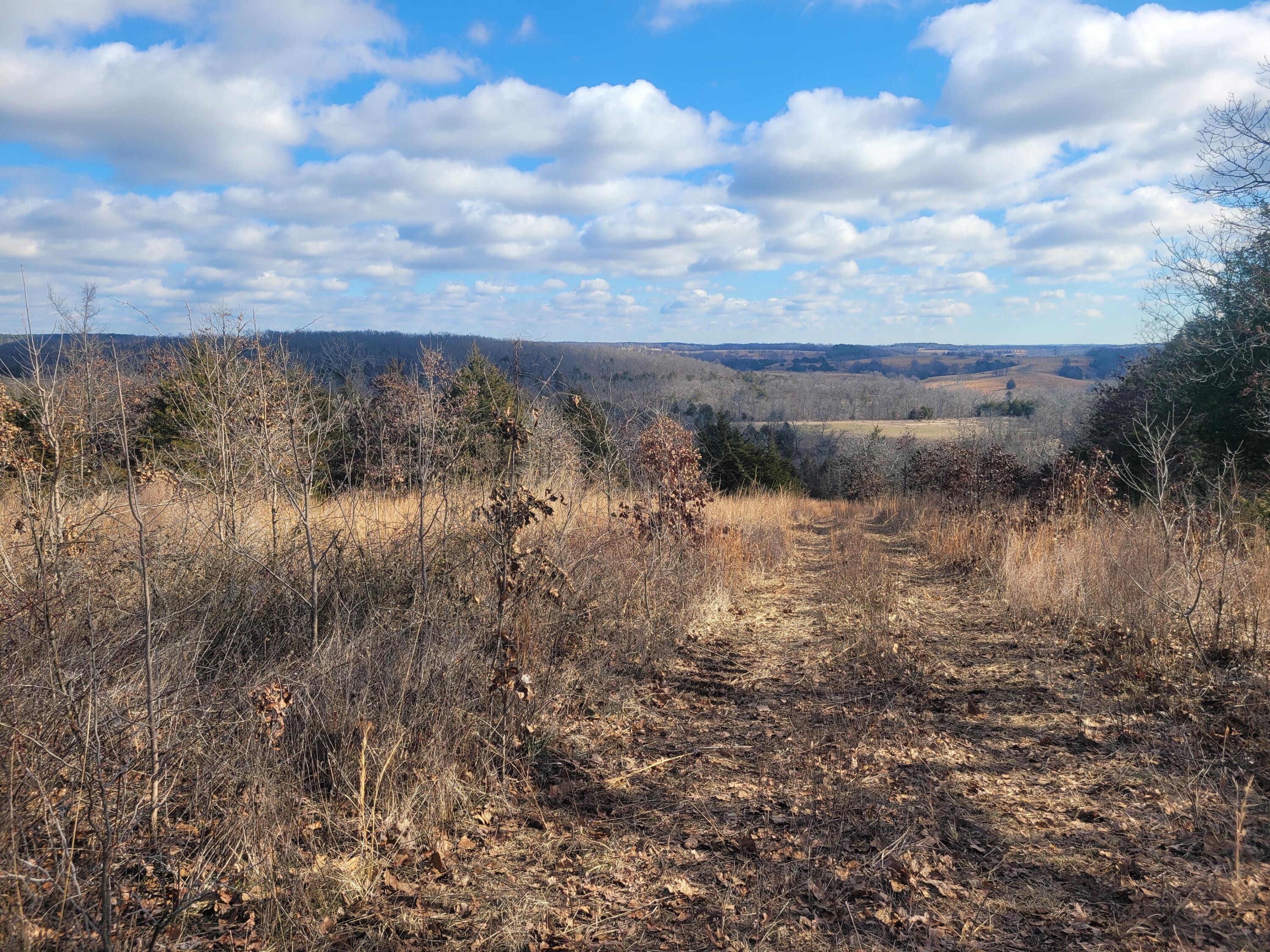 Photo 20 - Land for sale – 000  Hickory Flats Road  Ava, MO