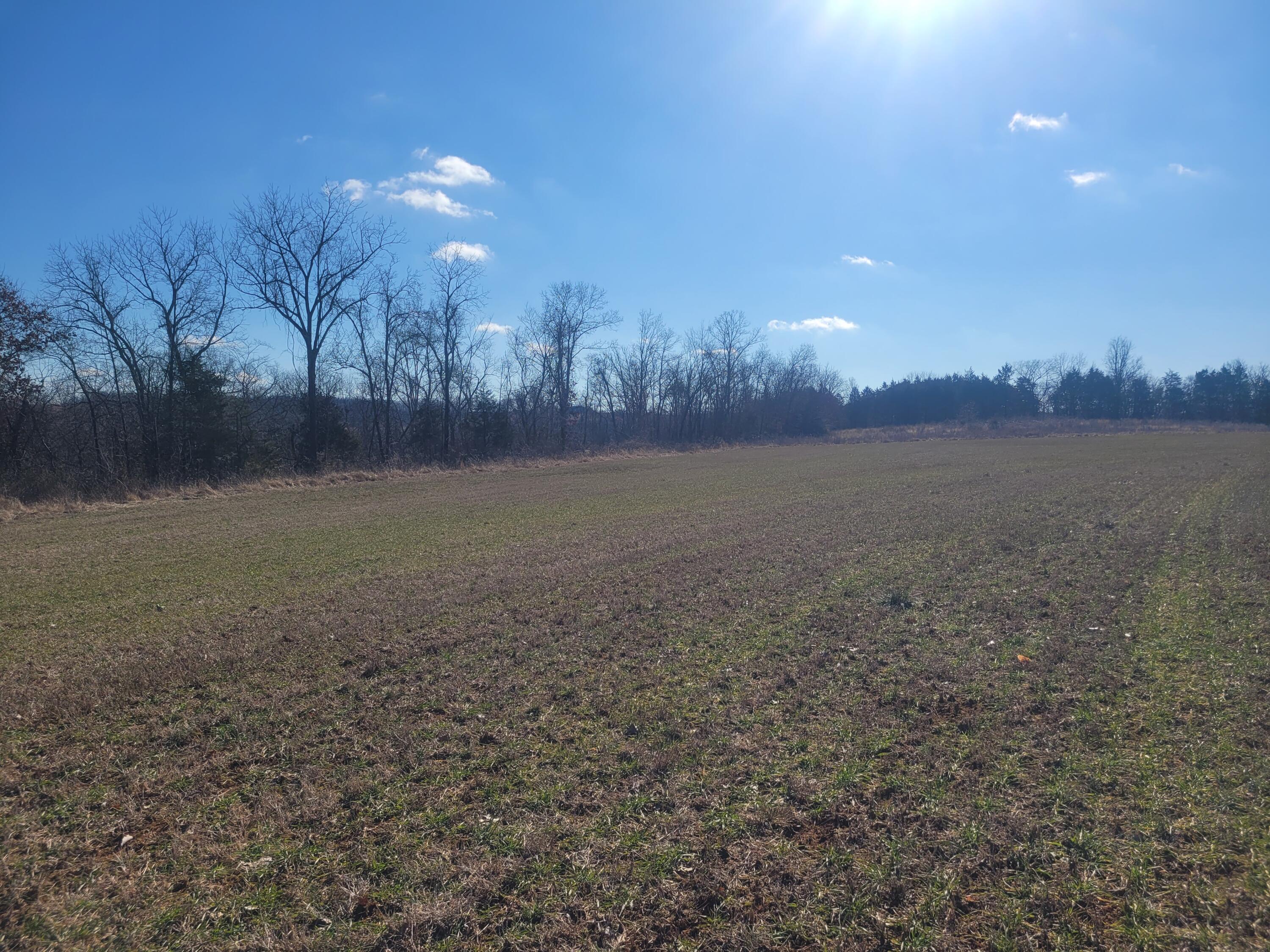Photo 6 - Land for sale – 000  Hickory Flats Road  Ava, MO