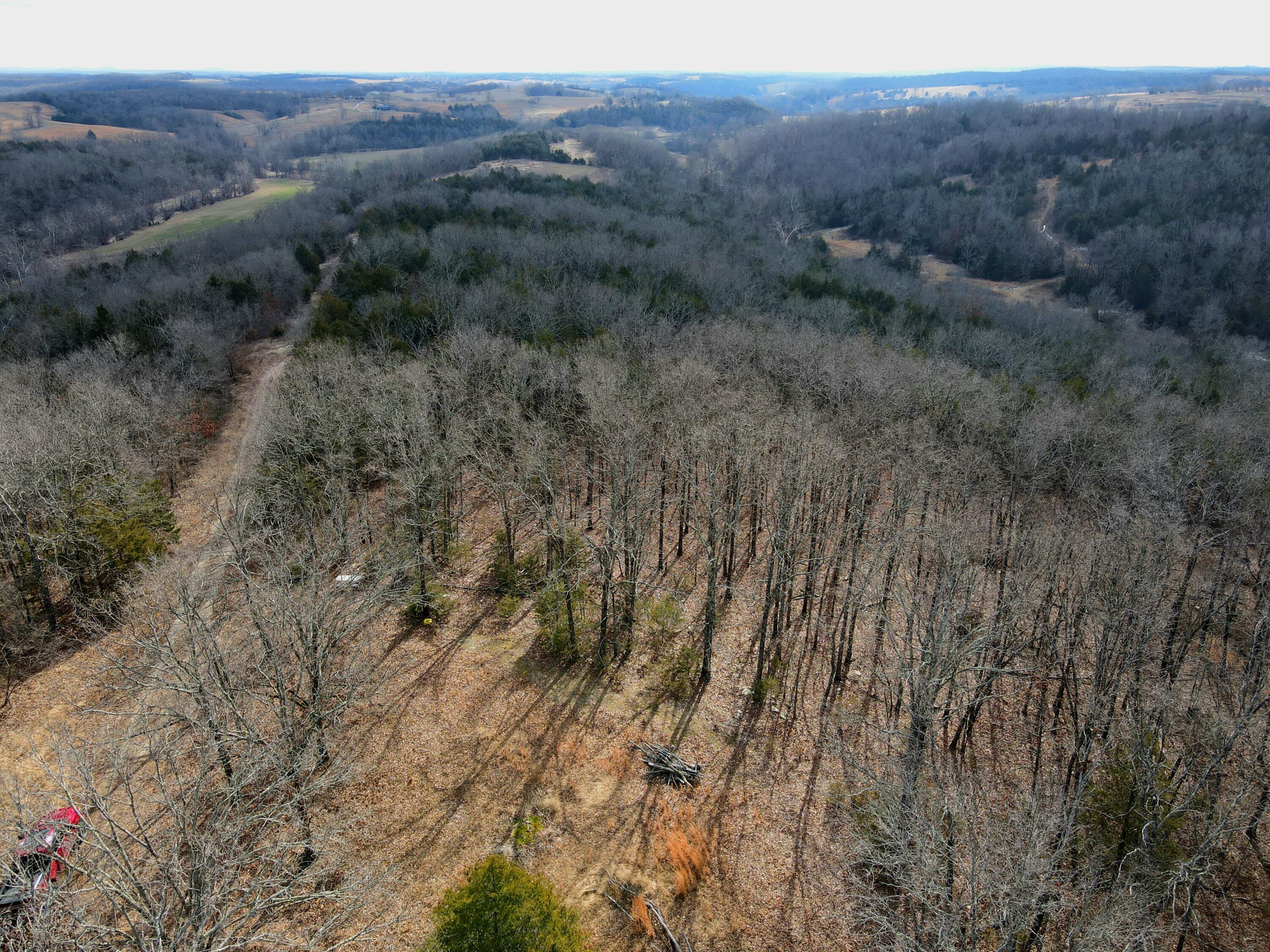 Photo 43 - Land for sale – 000  Hickory Flats Road  Ava, MO