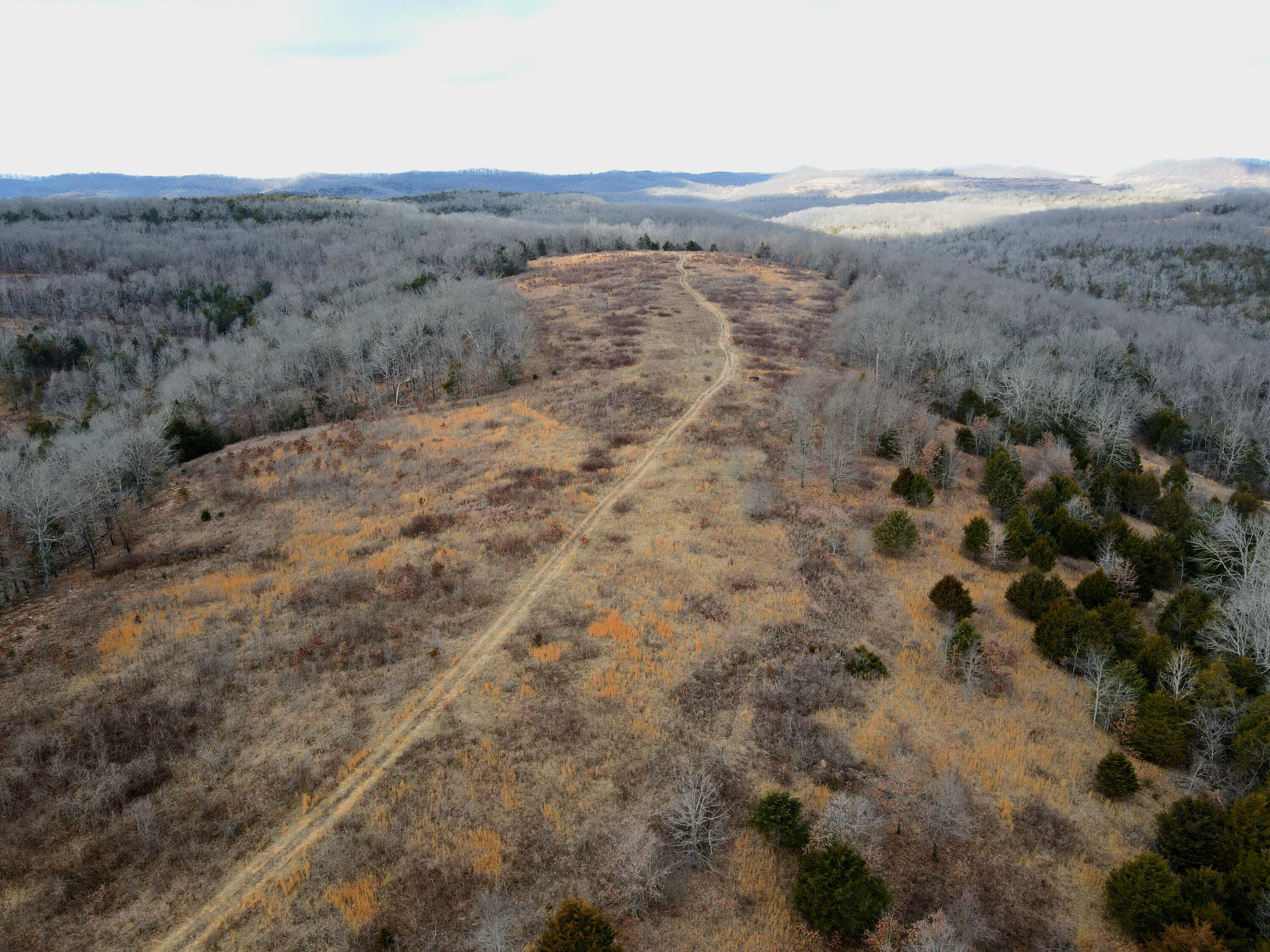 Photo 34 - Land for sale – 000  Hickory Flats Road  Ava, MO