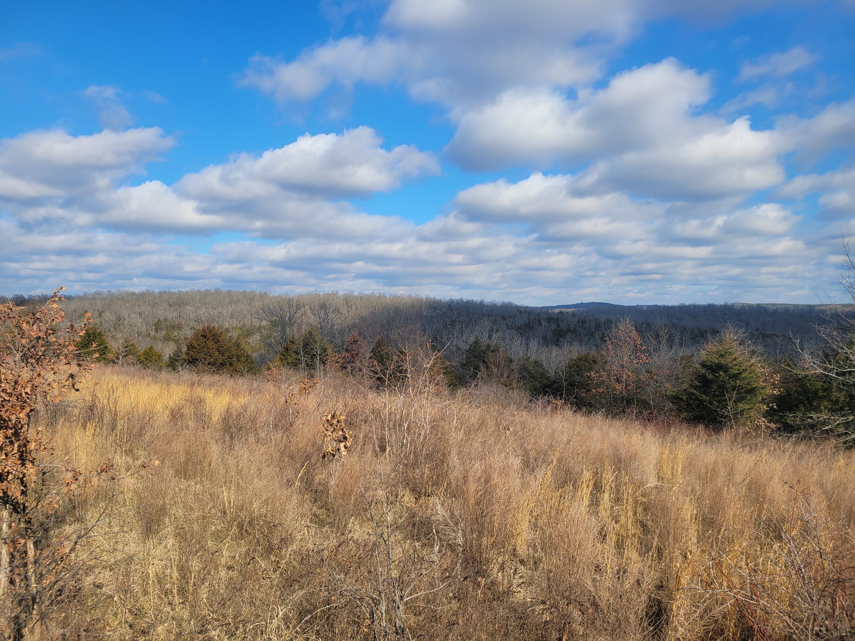 Photo 17 - Land for sale – 000  Hickory Flats Road  Ava, MO