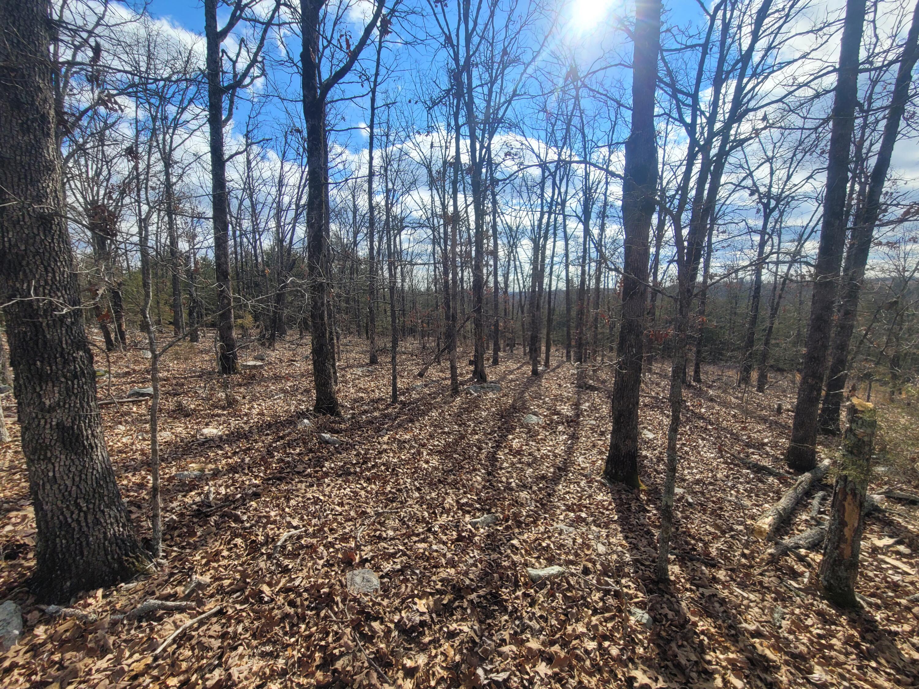 Photo 25 - Land for sale – 000  Hickory Flats Road  Ava, MO