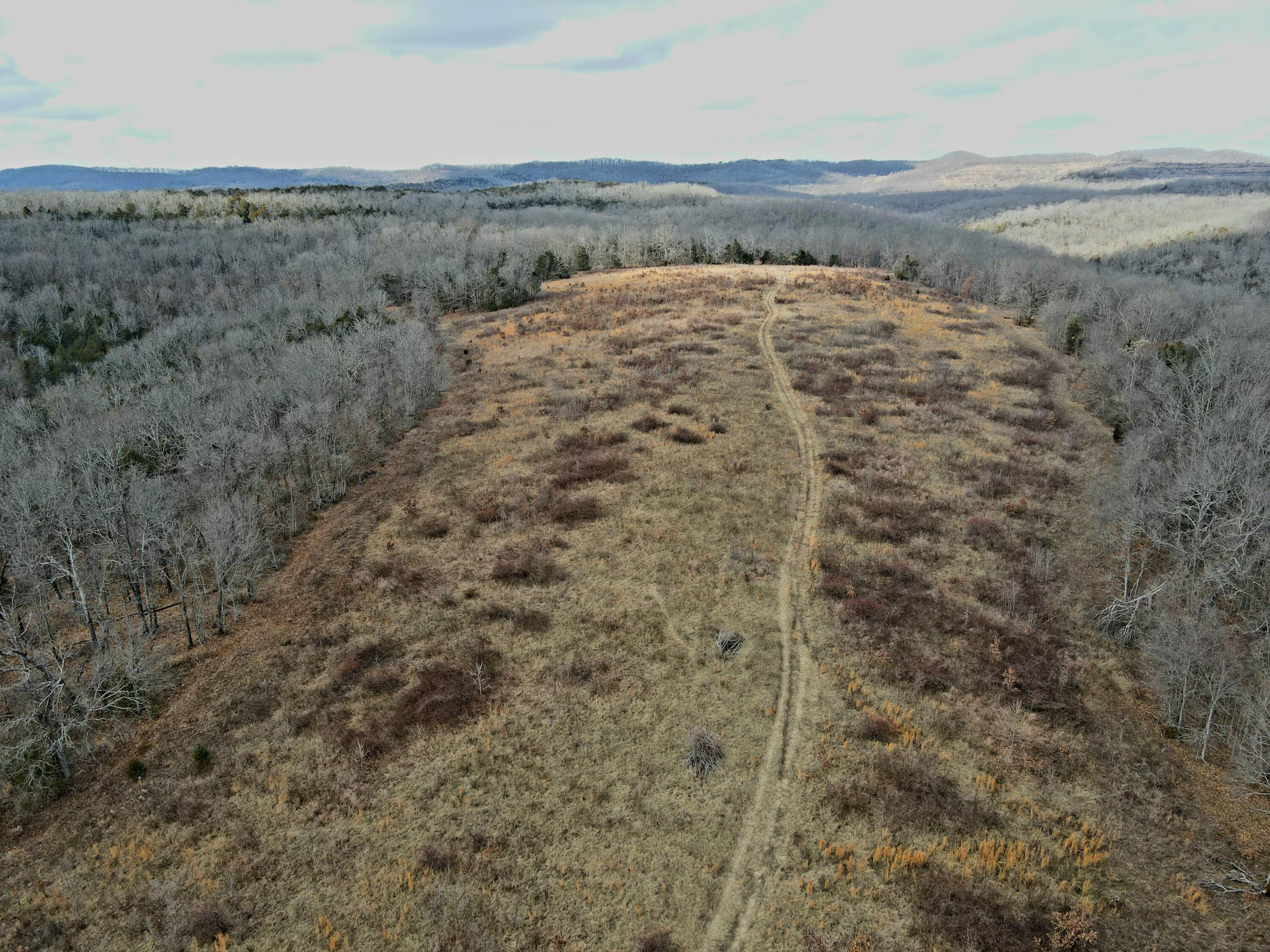 Photo 35 - Land for sale – 000  Hickory Flats Road  Ava, MO