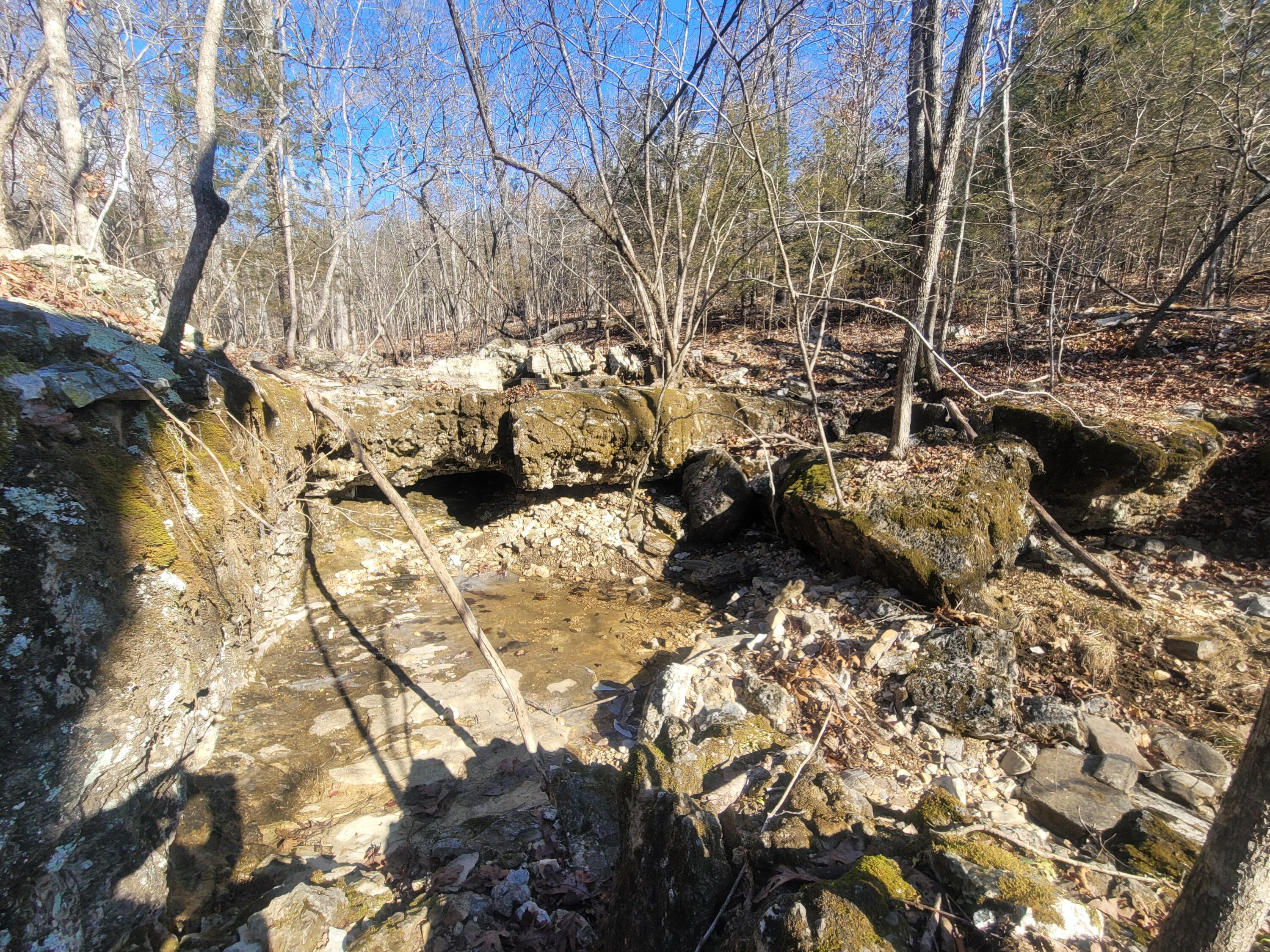 Photo 14 - Land for sale – 000  Hickory Flats Road  Ava, MO