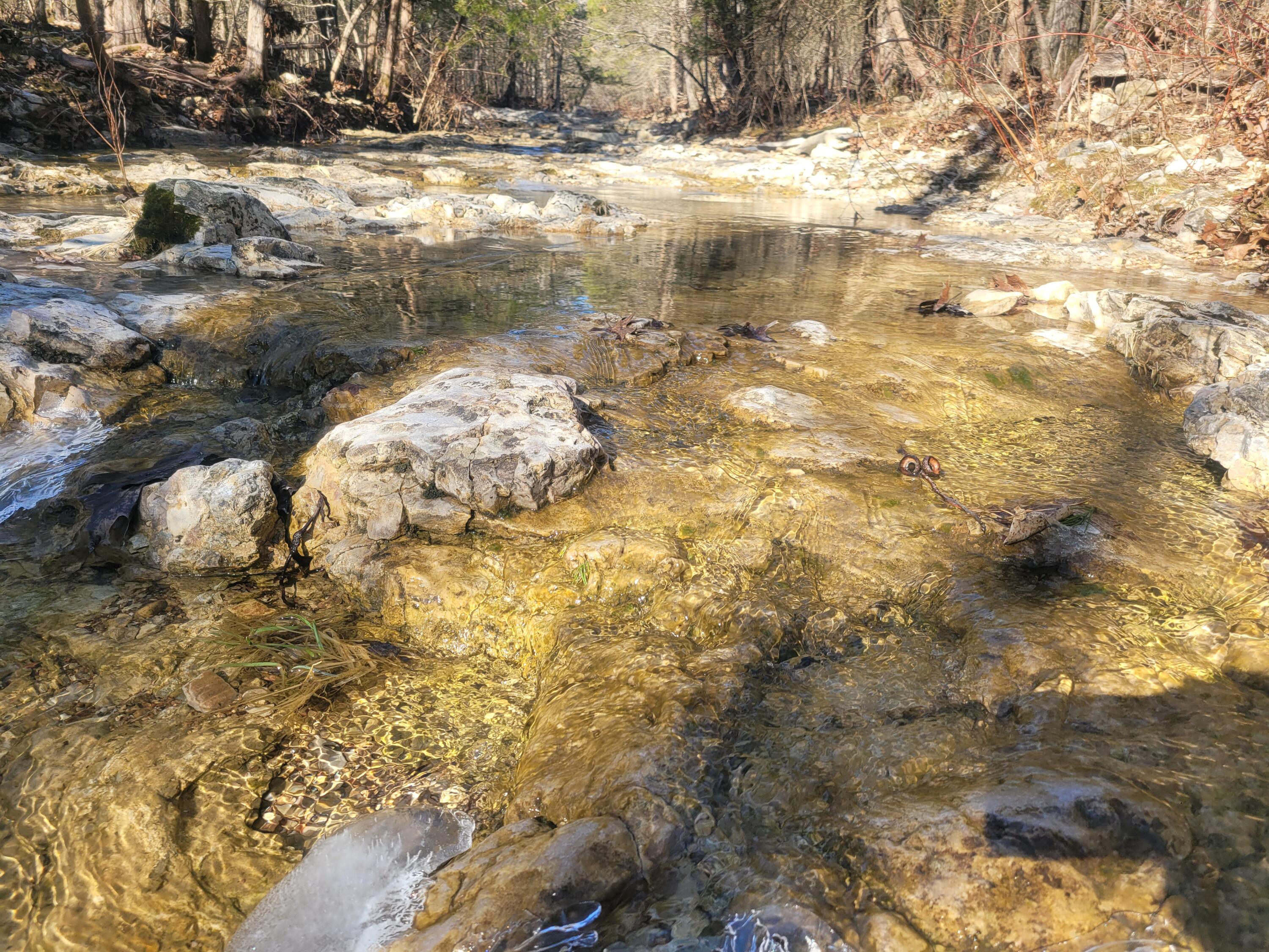 Photo 11 - Land for sale – 000  Hickory Flats Road  Ava, MO