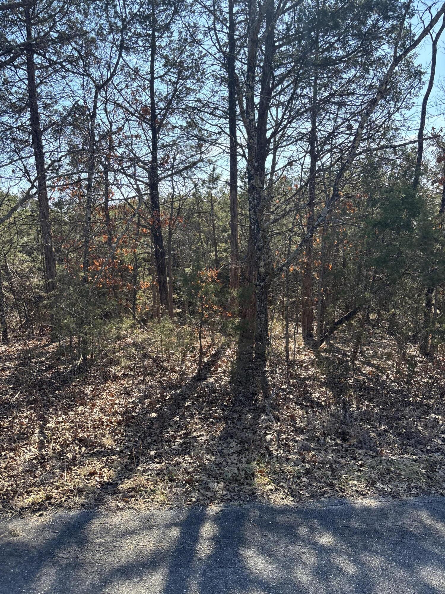 Photo 3 - Land for sale – Tbd  State Hwy Yy   Shell Knob, MO