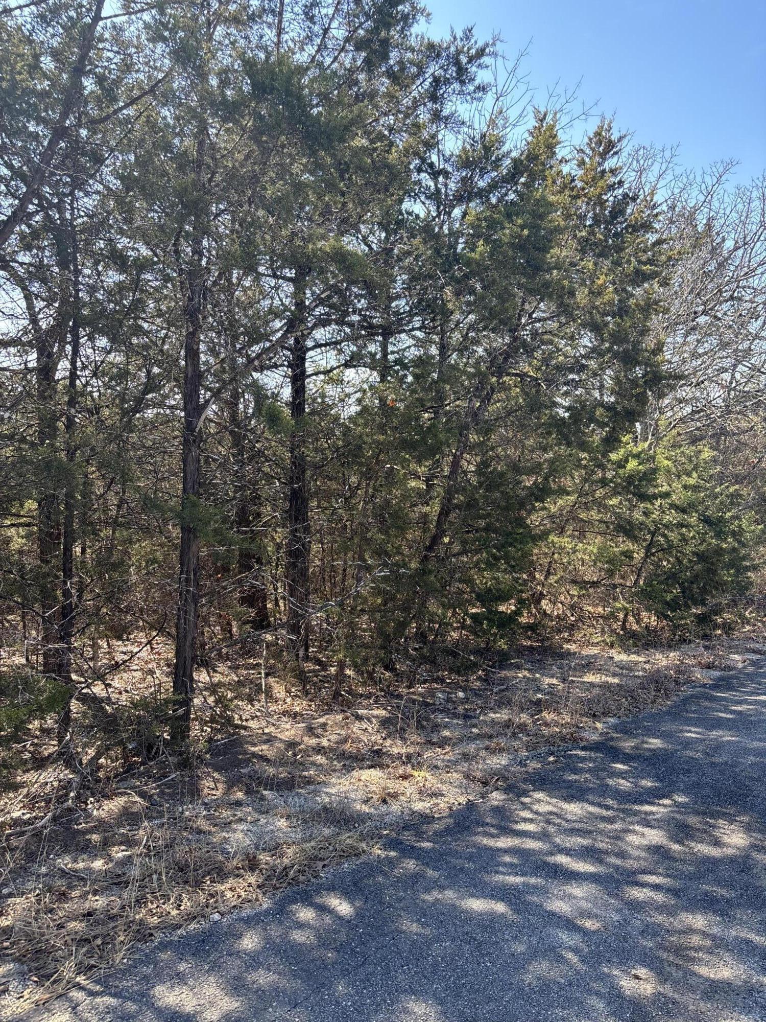 Photo 2 - Land for sale – Tbd  State Hwy Yy   Shell Knob, MO