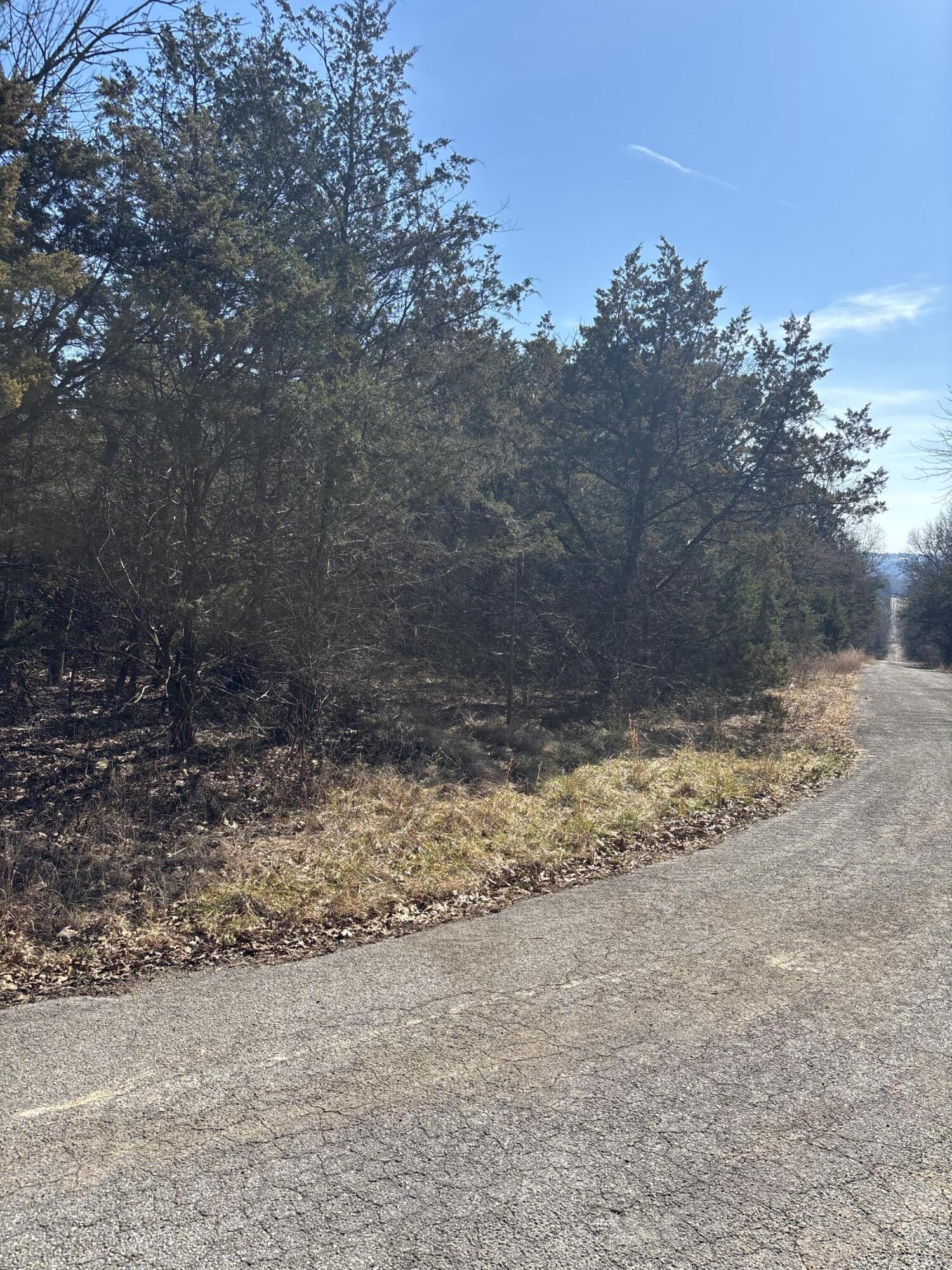 Photo 5 - Land for sale – Tbd  State Hwy Yy   Shell Knob, MO