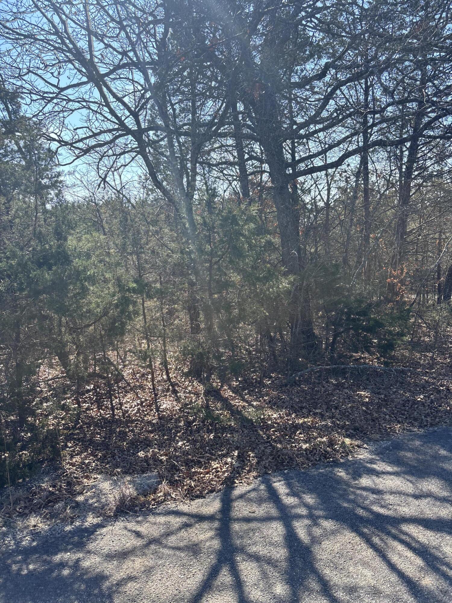 Photo 4 - Land for sale – Tbd  State Hwy Yy   Shell Knob, MO
