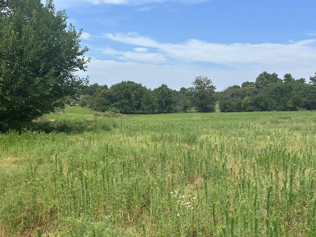 Photo 6 - Land for sale – 11438  Norway Road  Neosho, MO
