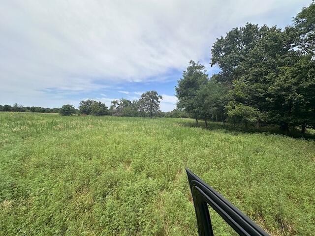 Photo 3 - Land for sale – 11438  Norway Road  Neosho, MO