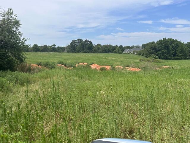 Photo 8 - Land for sale – 11438  Norway Road  Neosho, MO