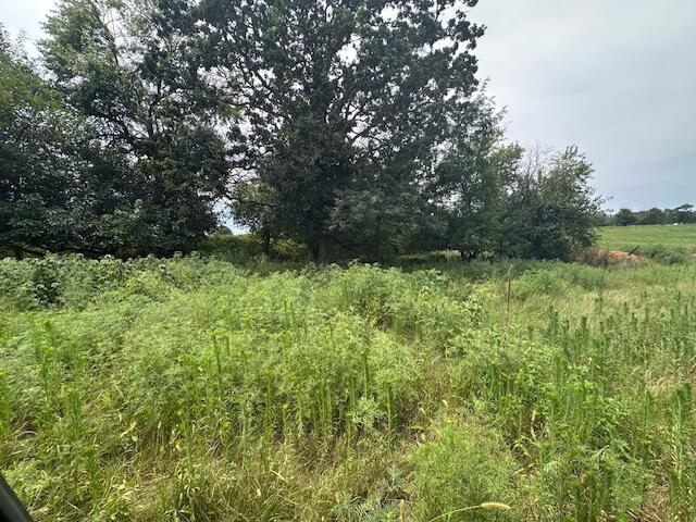 Photo 7 - Land for sale – 11438  Norway Road  Neosho, MO