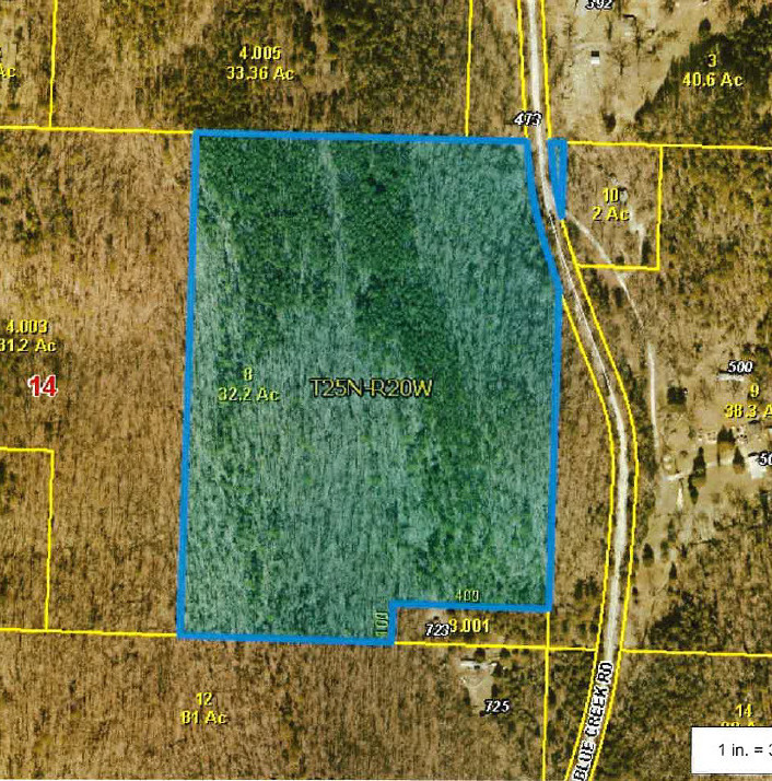 Land for sale – 473 Blue Creek Road Chadwick, MO
