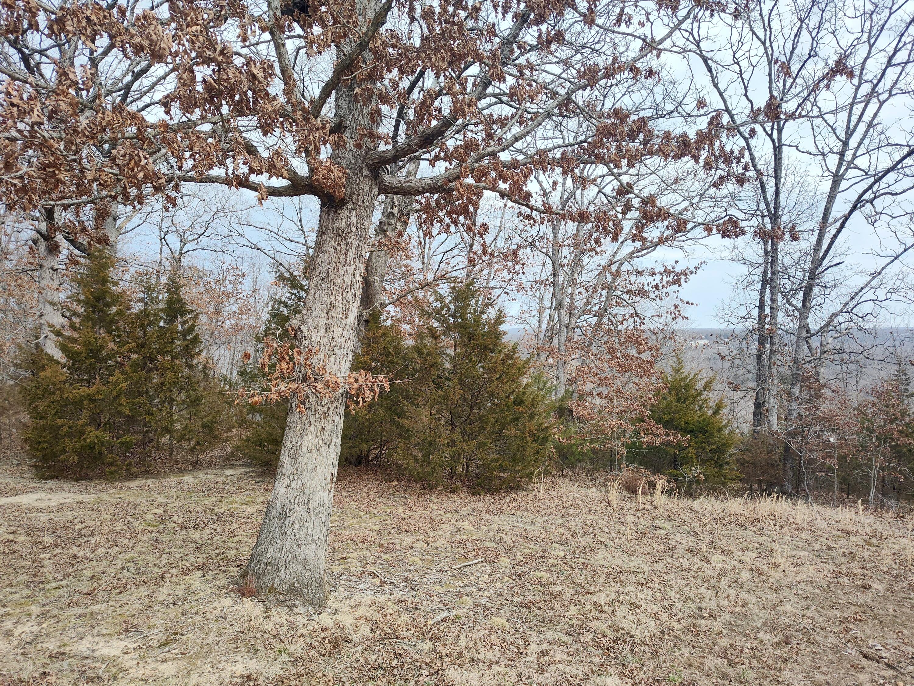 Photo 54 - Residential for sale – 25611  County Road 324   Pittsburg, MO